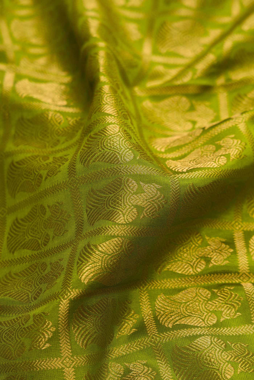 Close up of Mehandi Green Dual Tone Kanchipuram Silk Saree with Zari Brocade on the body and Zari Border.  displaying folds