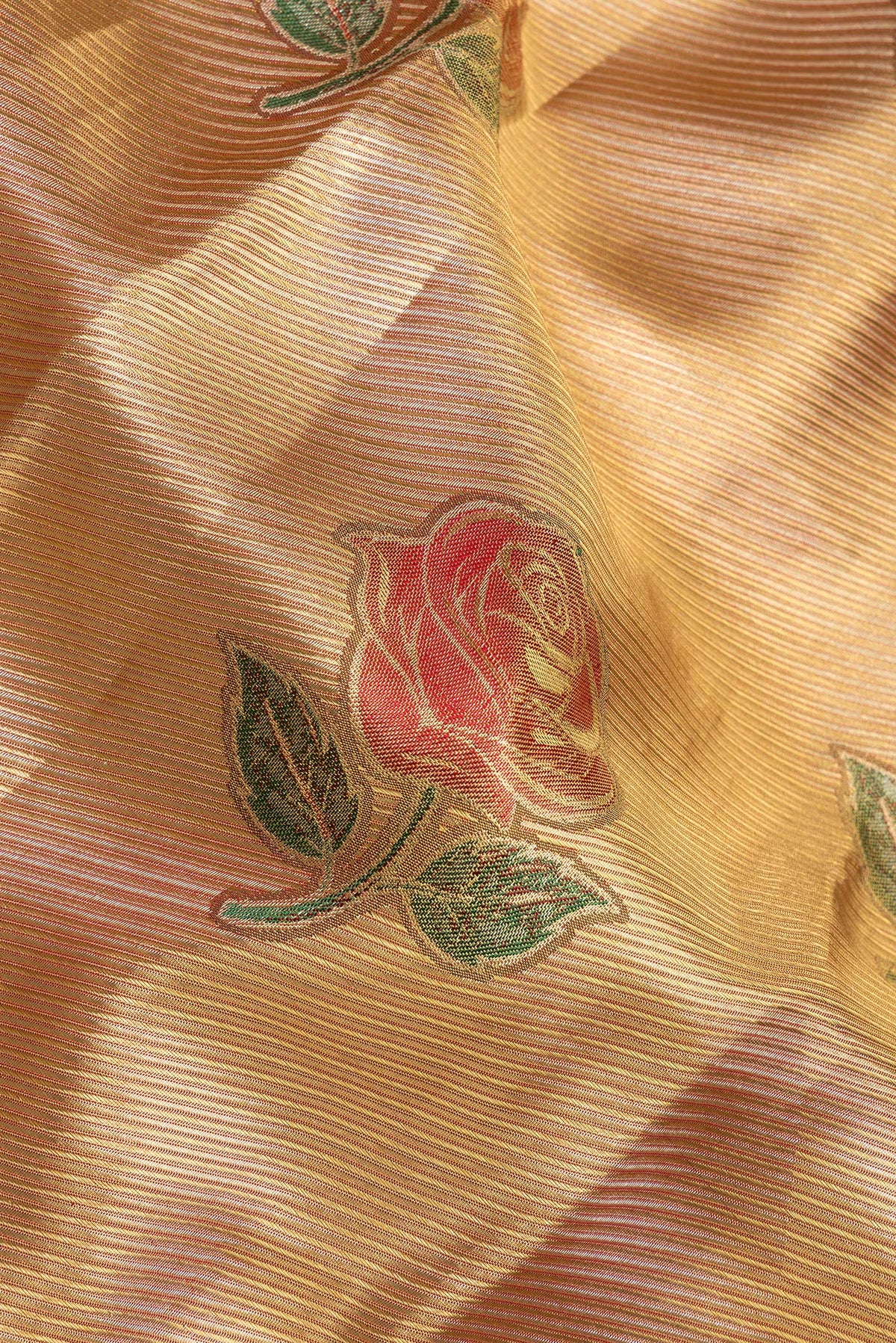 Close up of Gold Dual Tone Kanjivaram Tissue Saree with Zari Brocade on the body and Fancy Border.  displaying folds