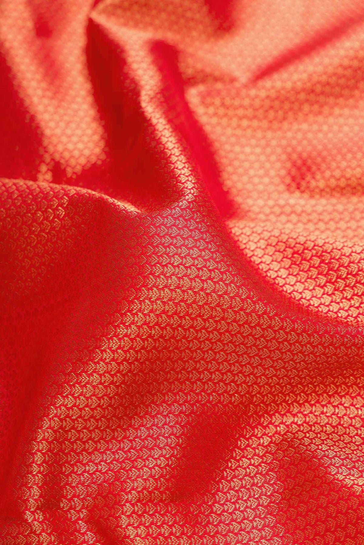 Close up of Red Dual Tone Kanjivaram Silk Saree with Zari Brocade on the body and Zari Border.  displaying folds