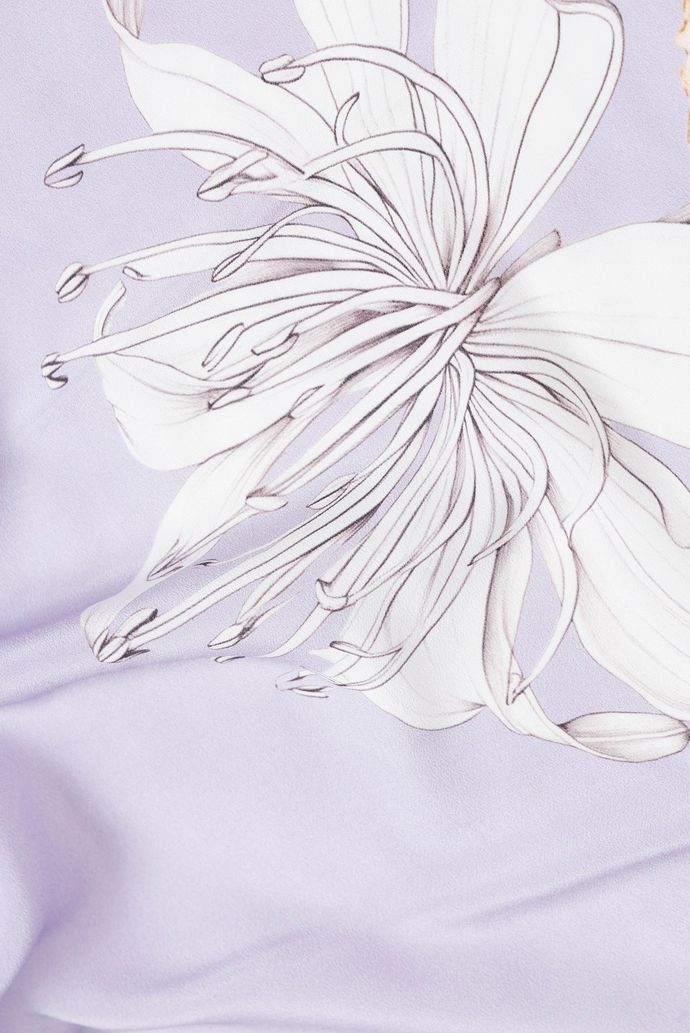 Close up of Lavender Dual Tone Crepe Saree with Printed design on the body and Without Border.  displaying folds