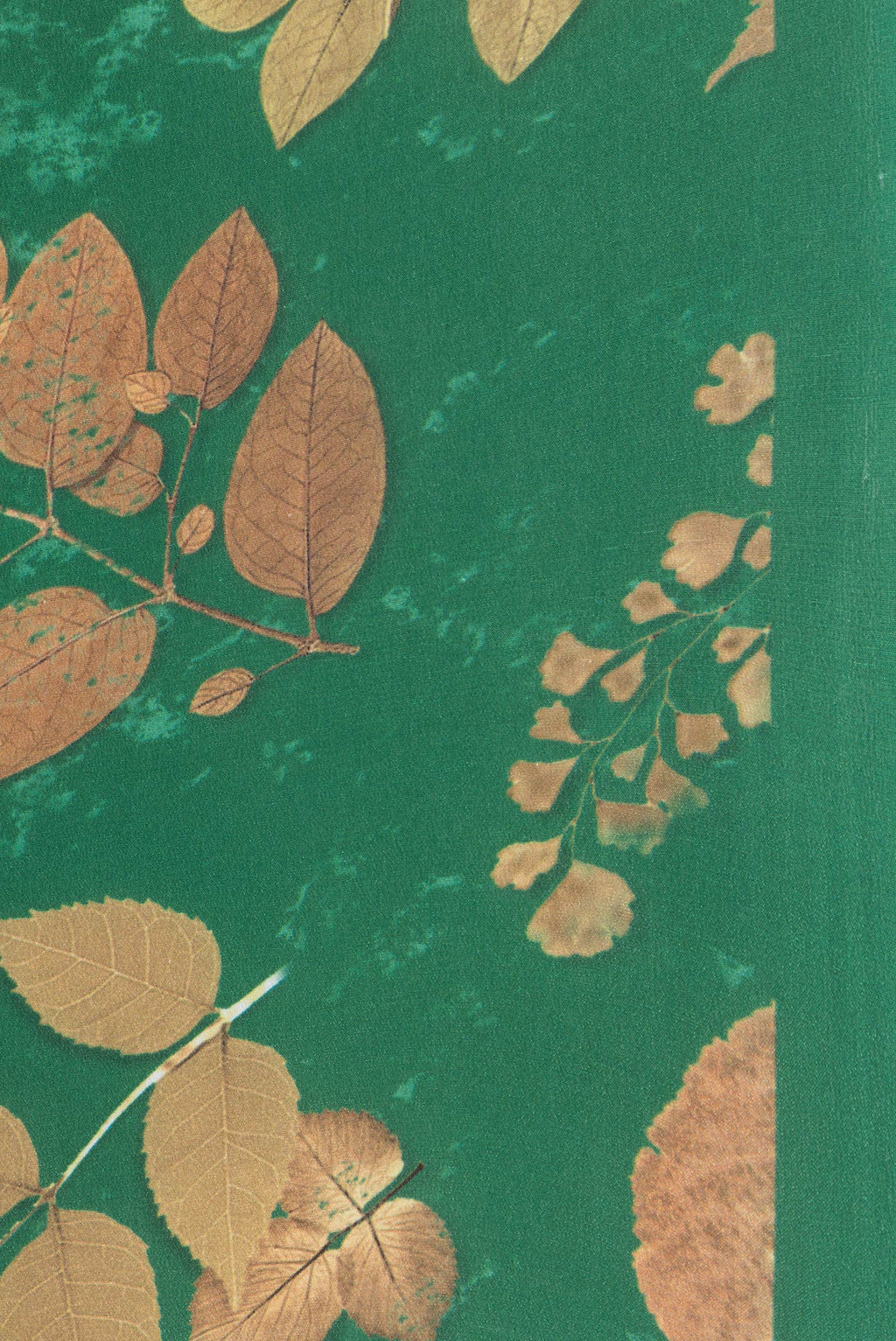 Border image of Green Dual Tone Crepe Saree with Printed design on the body and Without Border. 