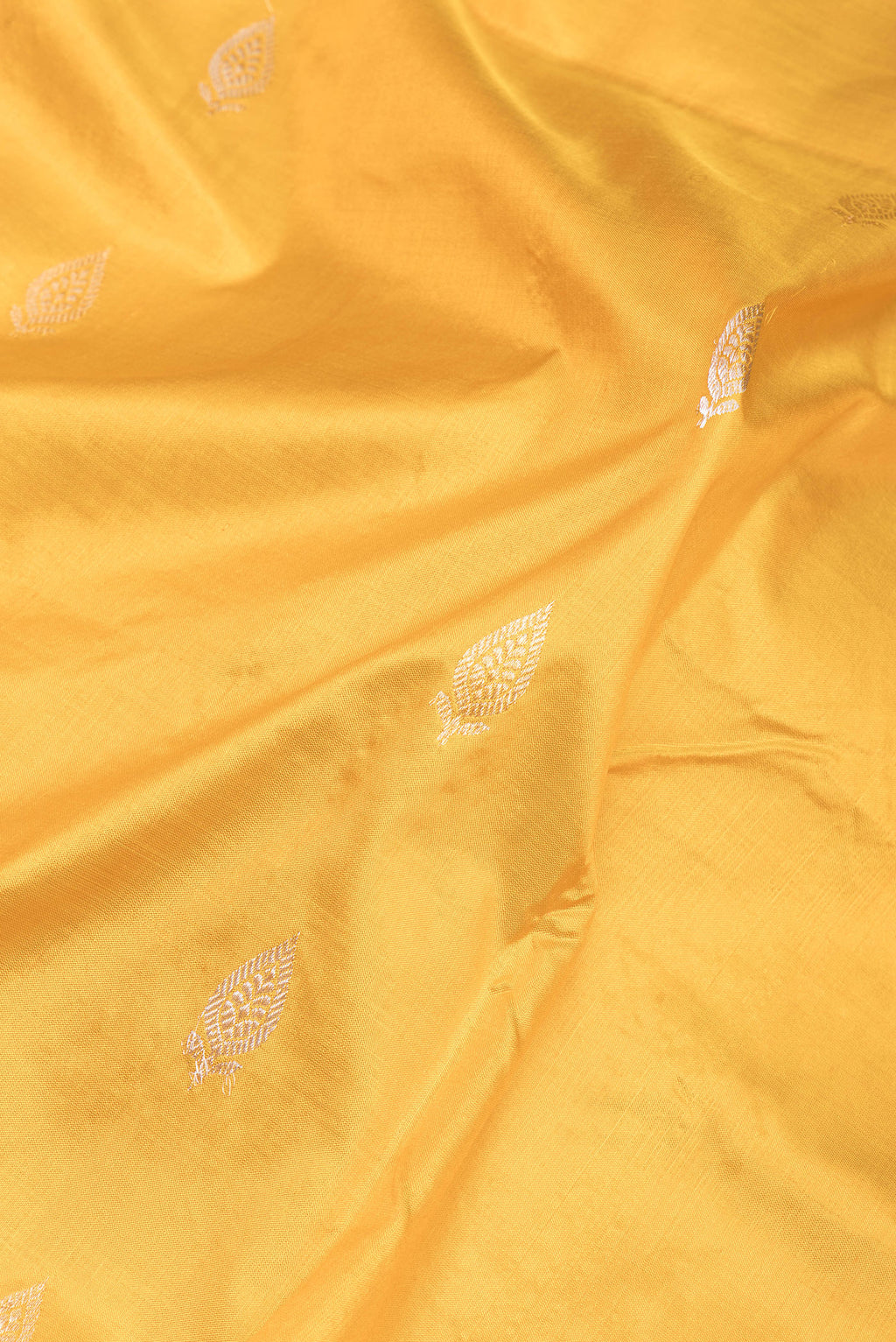 Close up of Mustard Banarasi Katan Silk Saree with Zari Butta on the body and Without Border.  displaying folds
