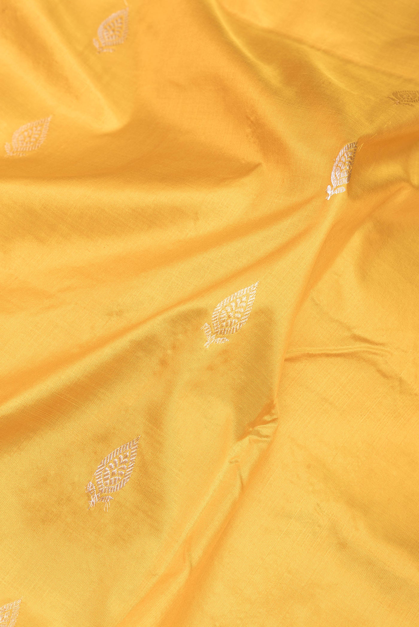 Close up of Mustard Banarasi Katan Silk Saree with Zari Butta on the body and Without Border.  displaying folds