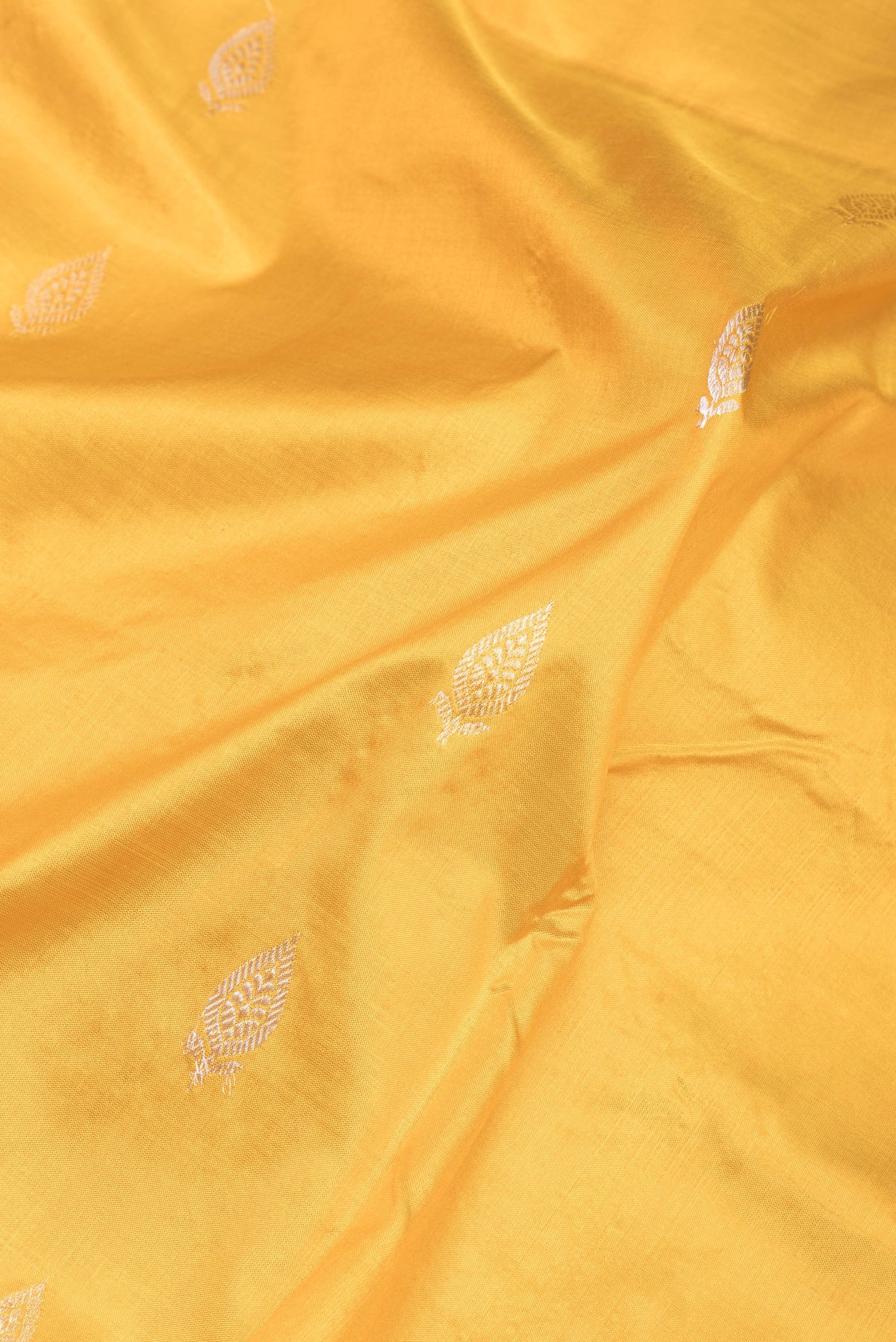 Close up of Mustard Banarasi Katan Silk Saree with Zari Butta on the body and Without Border.  displaying folds