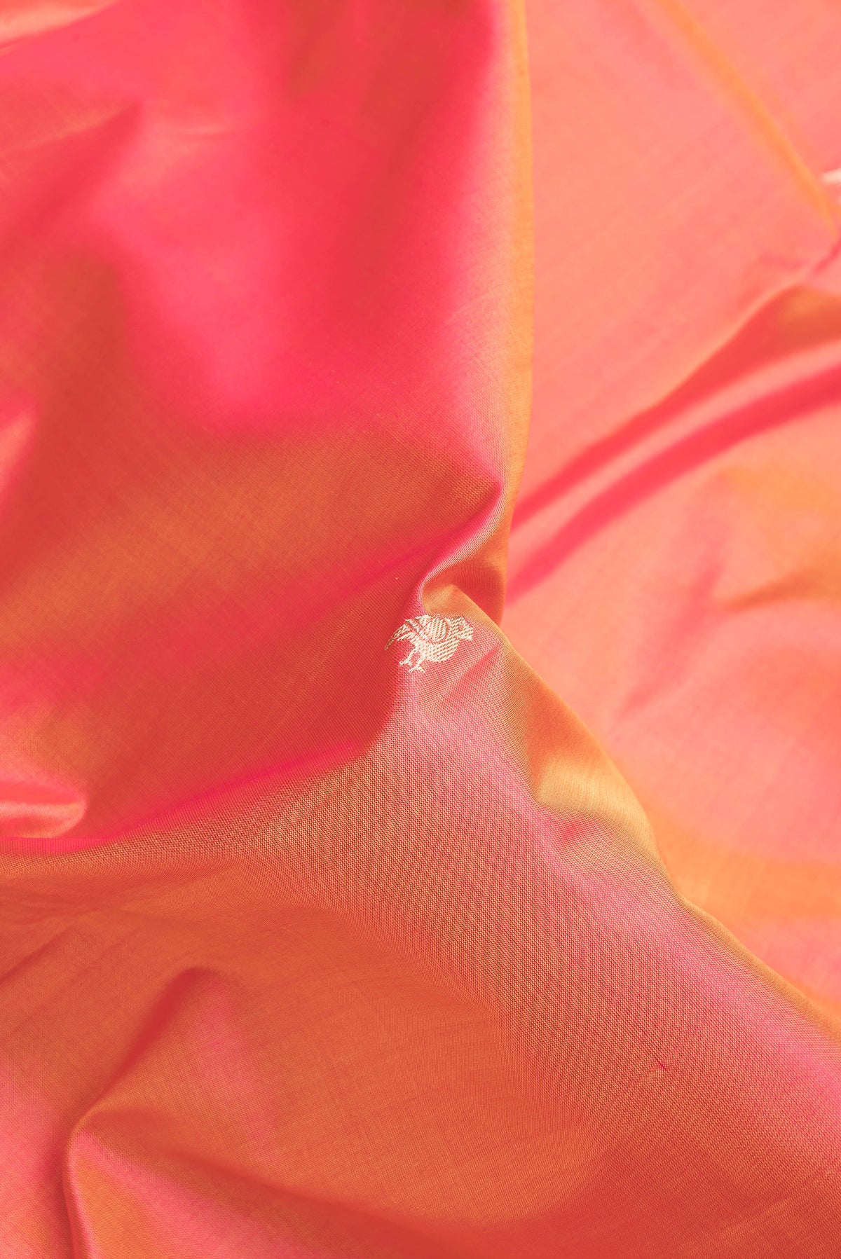 Close up of Coral Dual Tone Banarasi Silk Saree with Zari Butta on the body and Zari Border.  displaying folds