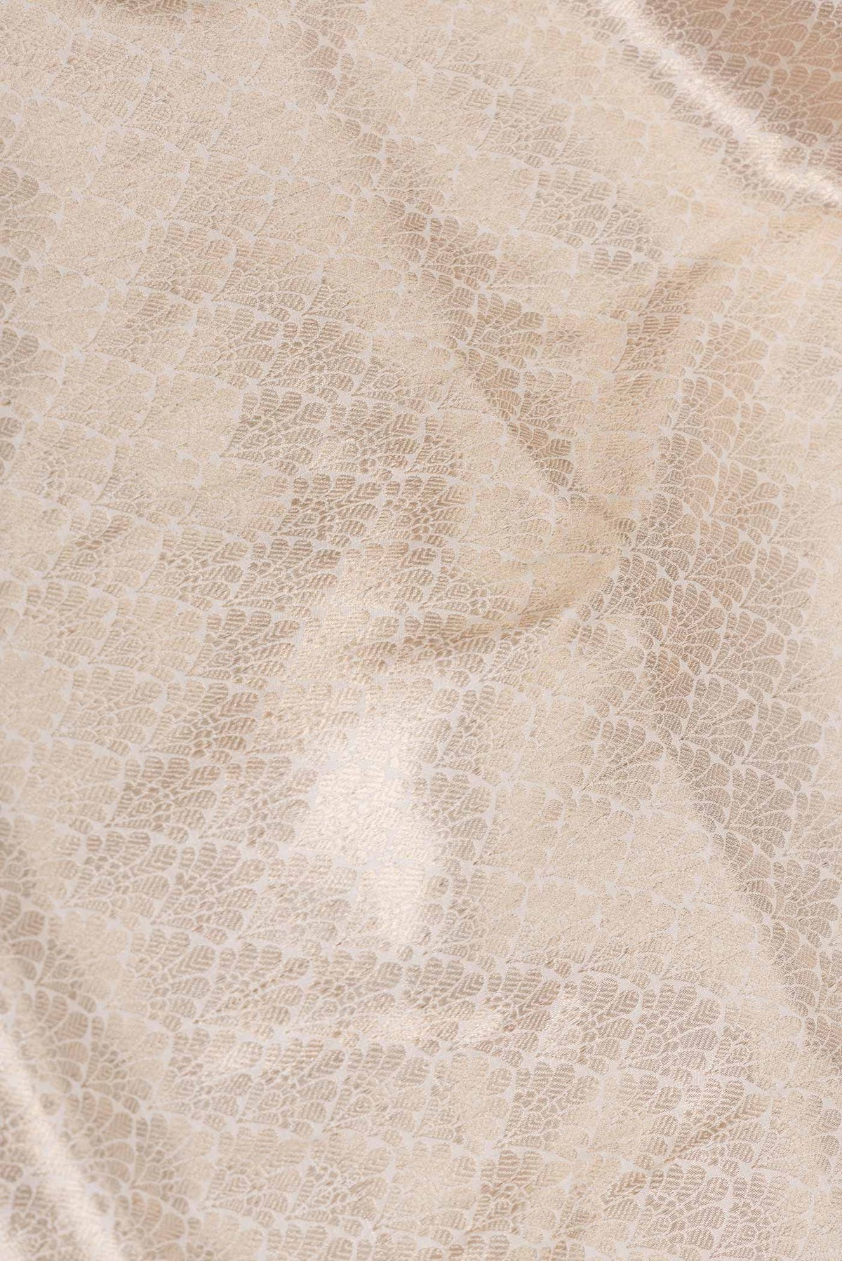Close up of Off White Dual Tone Banarasi Silk Saree with Zari Brocade on the body and Zari Border displaying folds