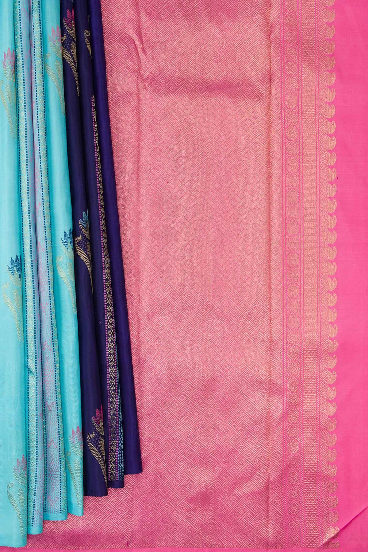 Pleats and pallu of Sky Blue and Navy Blue Color Kanchipuram Silk Saree with Half And Half on the body and Without Border