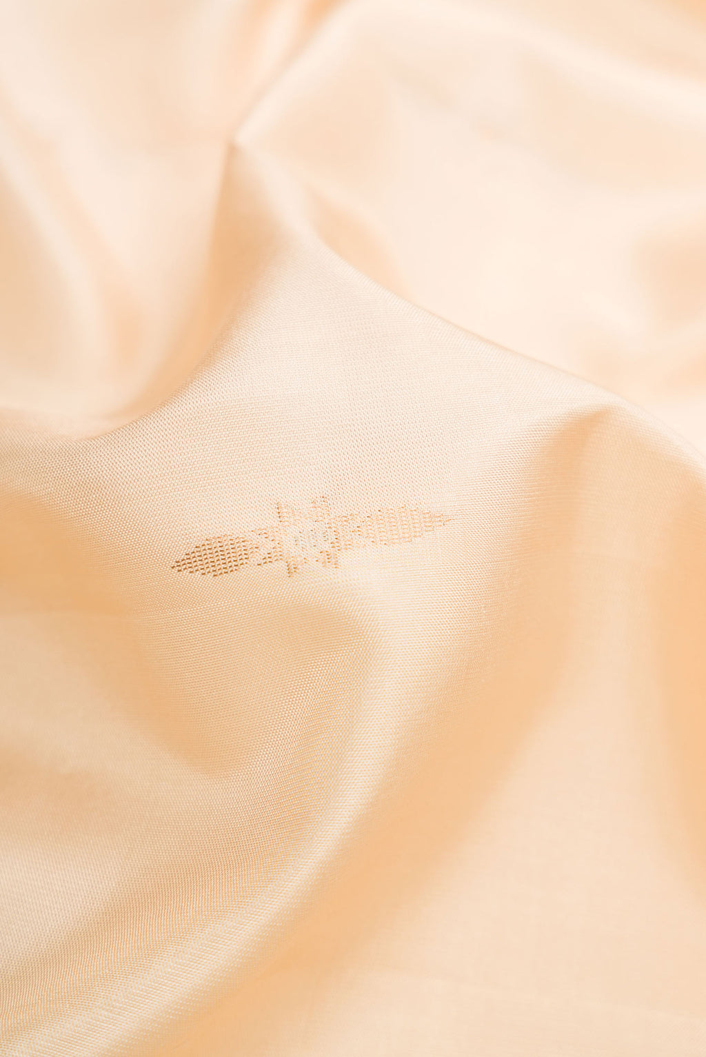 Close up of Beige Dual Tone Soft Silk Saree with Zari Butta on the body and Zari Border.  displaying folds