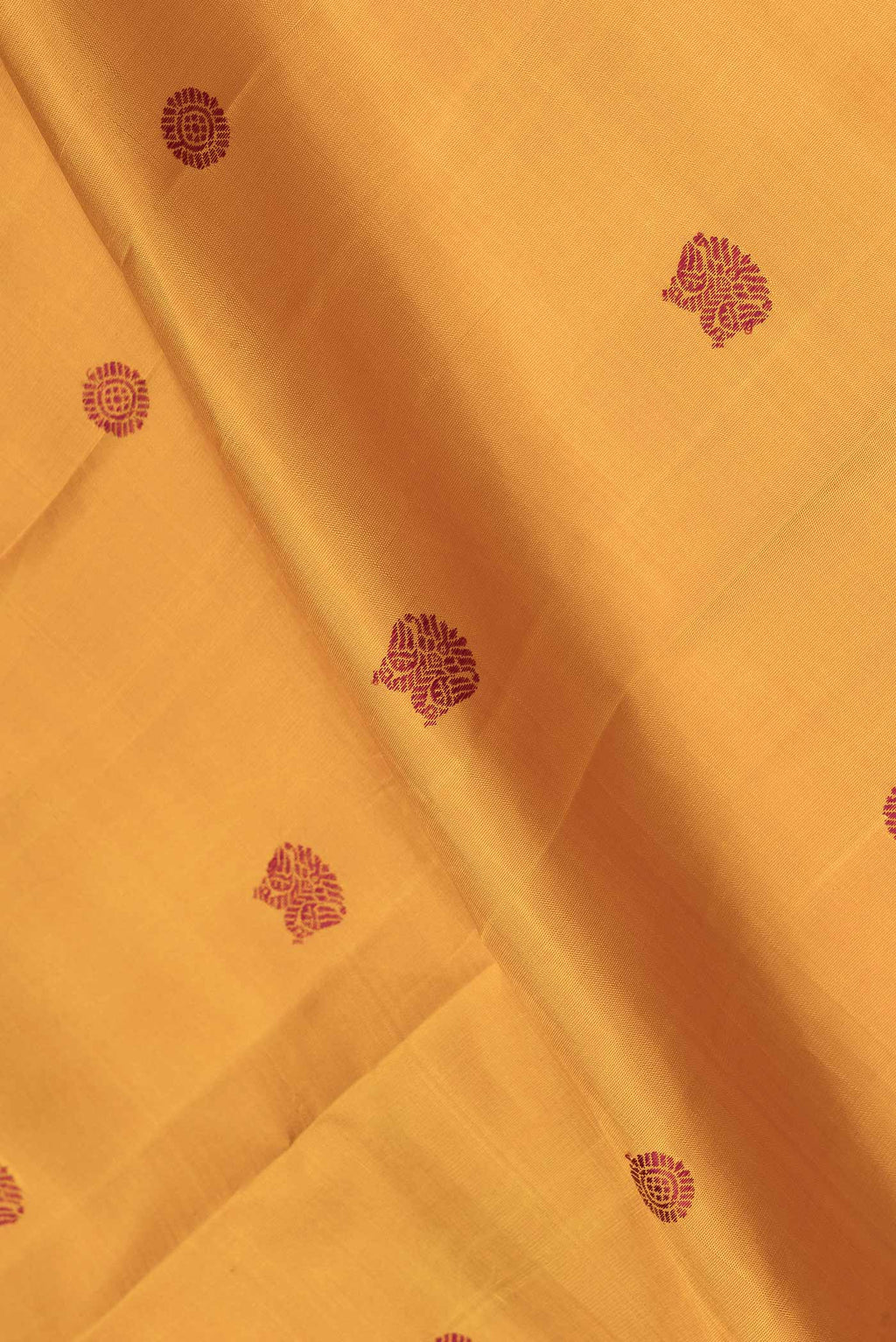 Close up of Mustard Dual Tone Kanjivaram Saree with Thread Butta on the body and Thread Border.  displaying folds