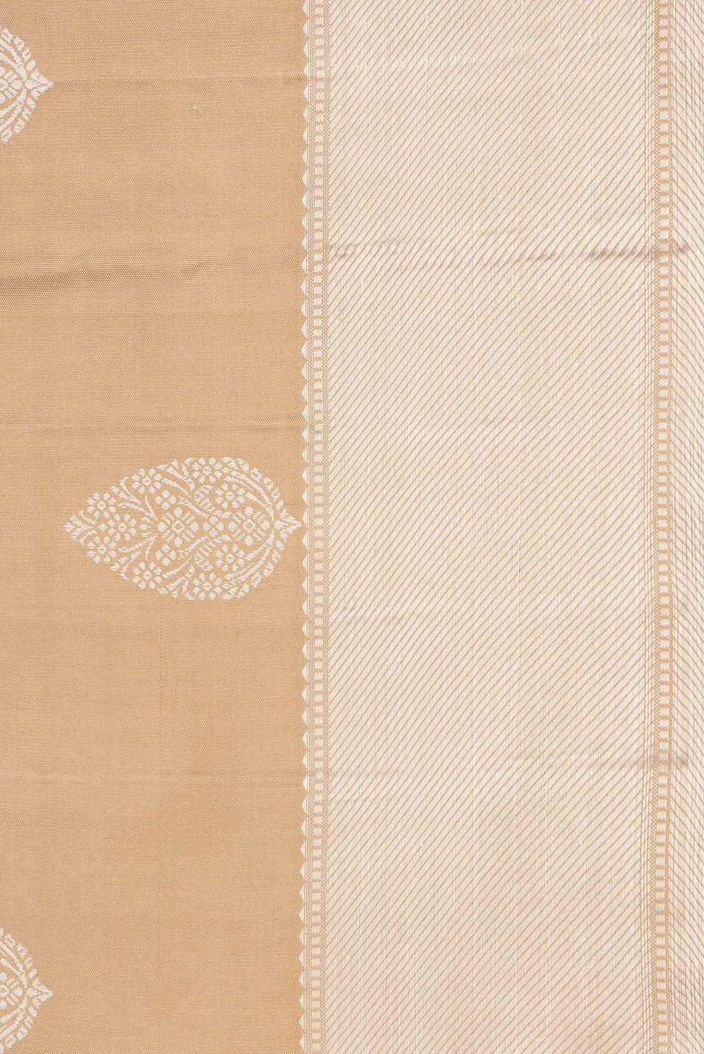 Border image of Beige Dual Tone Kanjivaram Saree with Thread Butta on the body and Thread Border. 