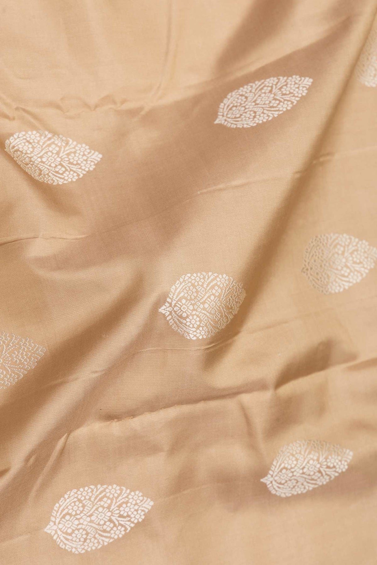 Close up of Beige Dual Tone Kanjivaram Saree with Thread Butta on the body and Thread Border.  displaying folds