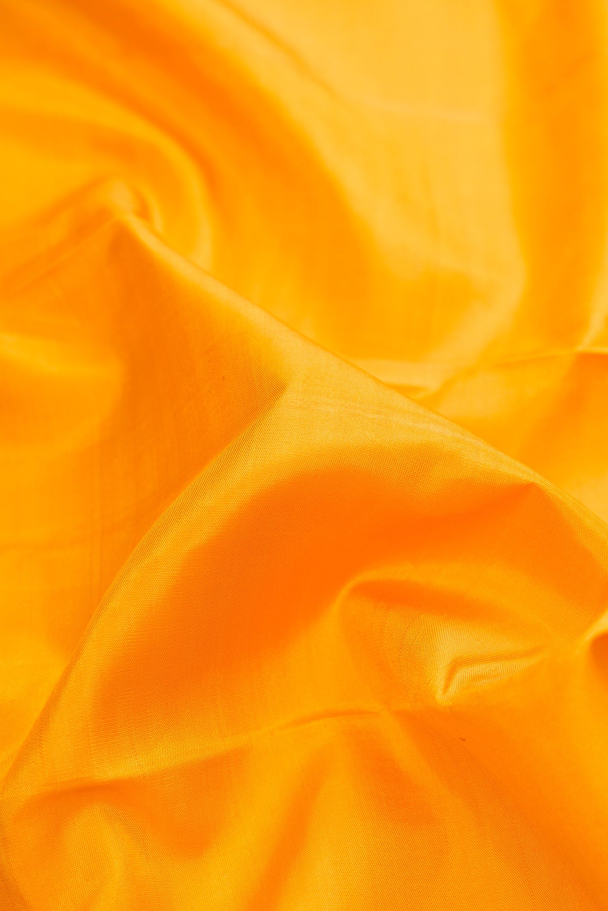 Close up of Pure Silk Pure Zari Yellow Dual Tone Kanjivaram Saree with Plain Body and Checks Border.  displaying folds