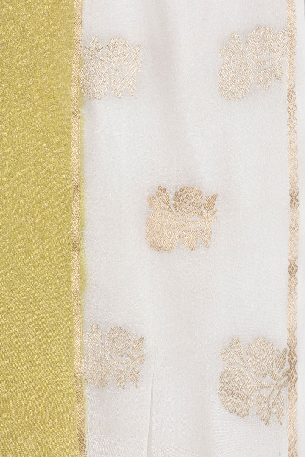 Border image of Pista Green Dual Tone Mysore Georgette Saree with Zari Brocade on the body and Fancy Border. 