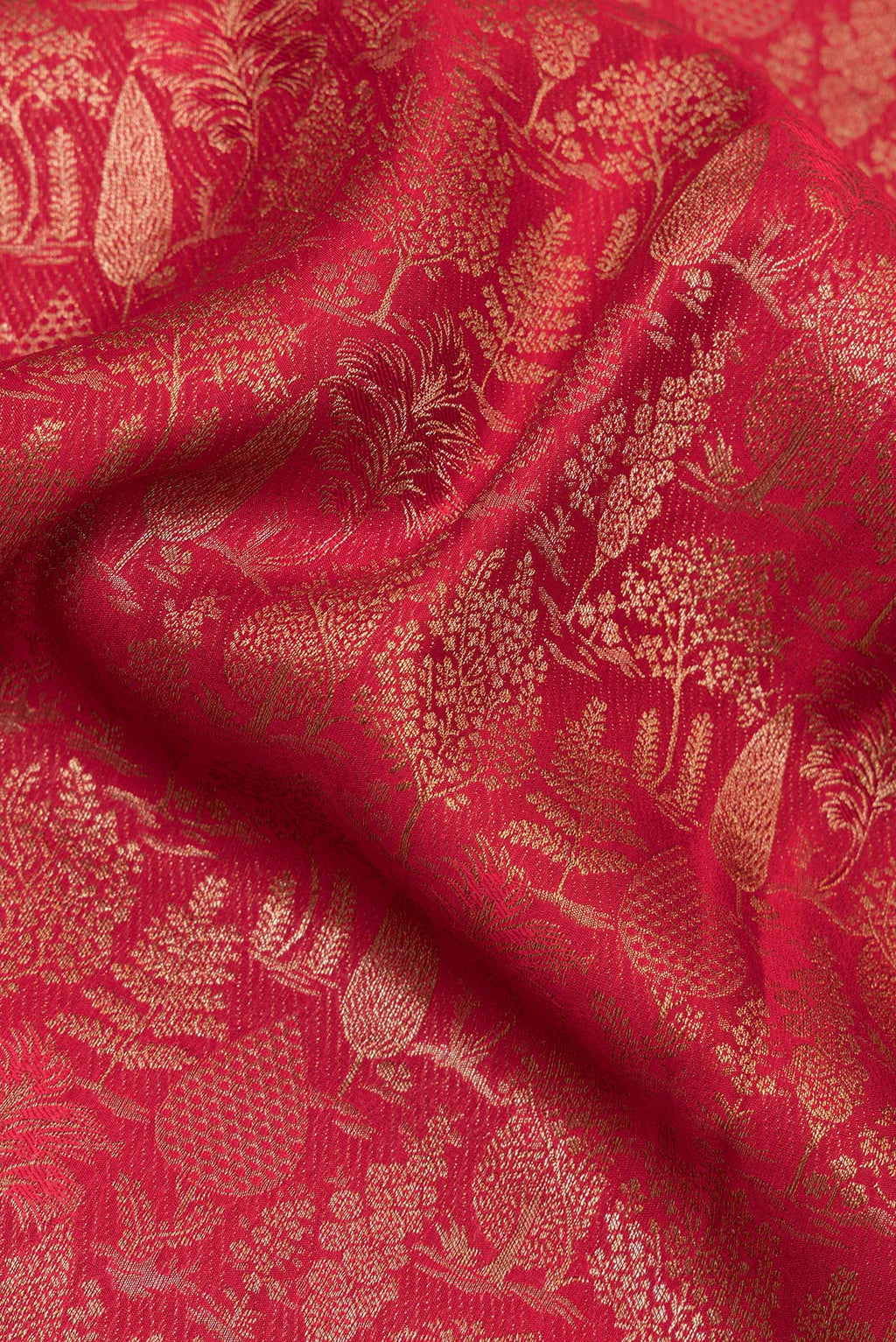 Close up of Maroon Banarasi Georgette Saree with Zari Brocade on the body and Zari Border.  displaying folds