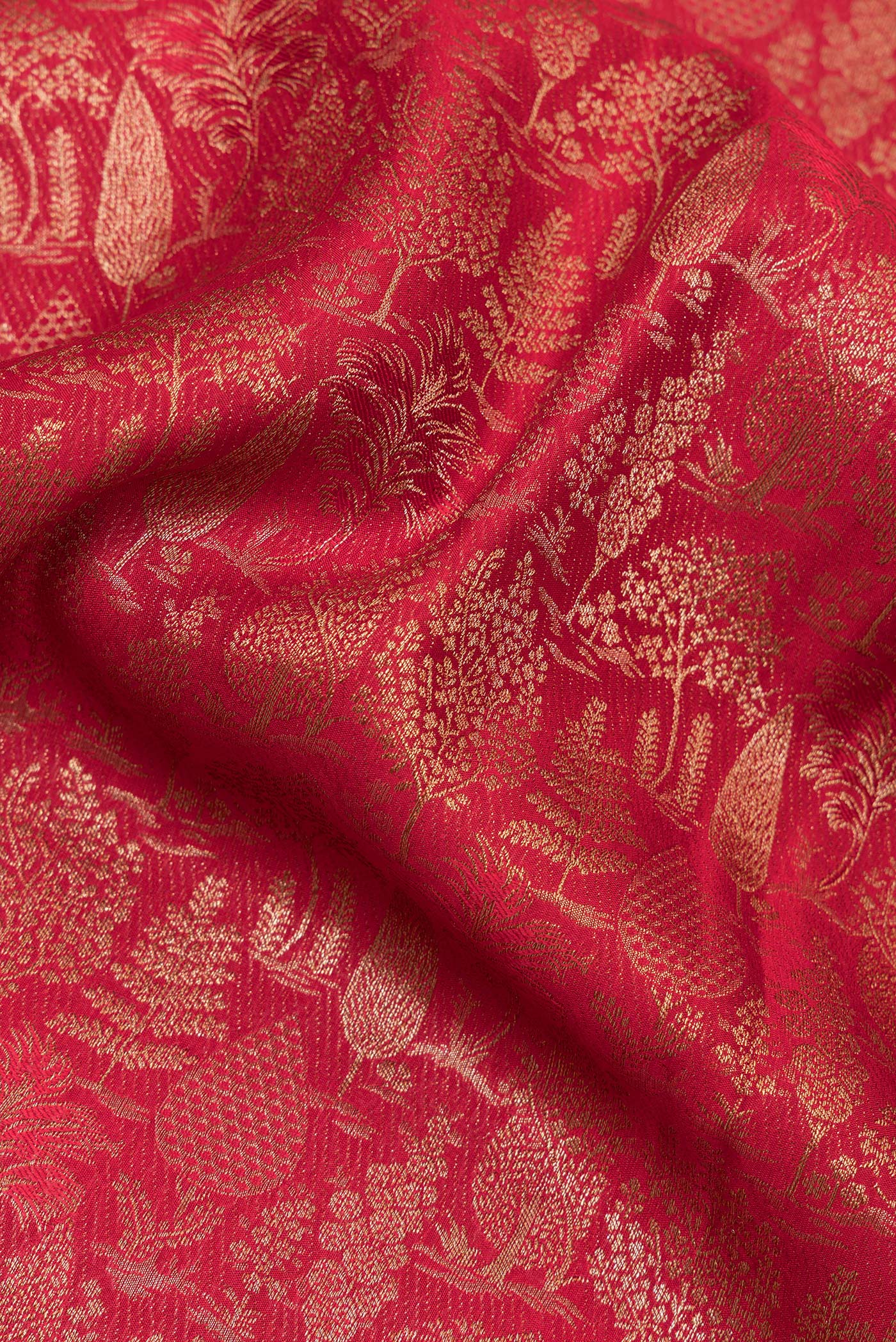 Close up of Maroon Banarasi Georgette Saree with Zari Brocade on the body and Zari Border.  displaying folds