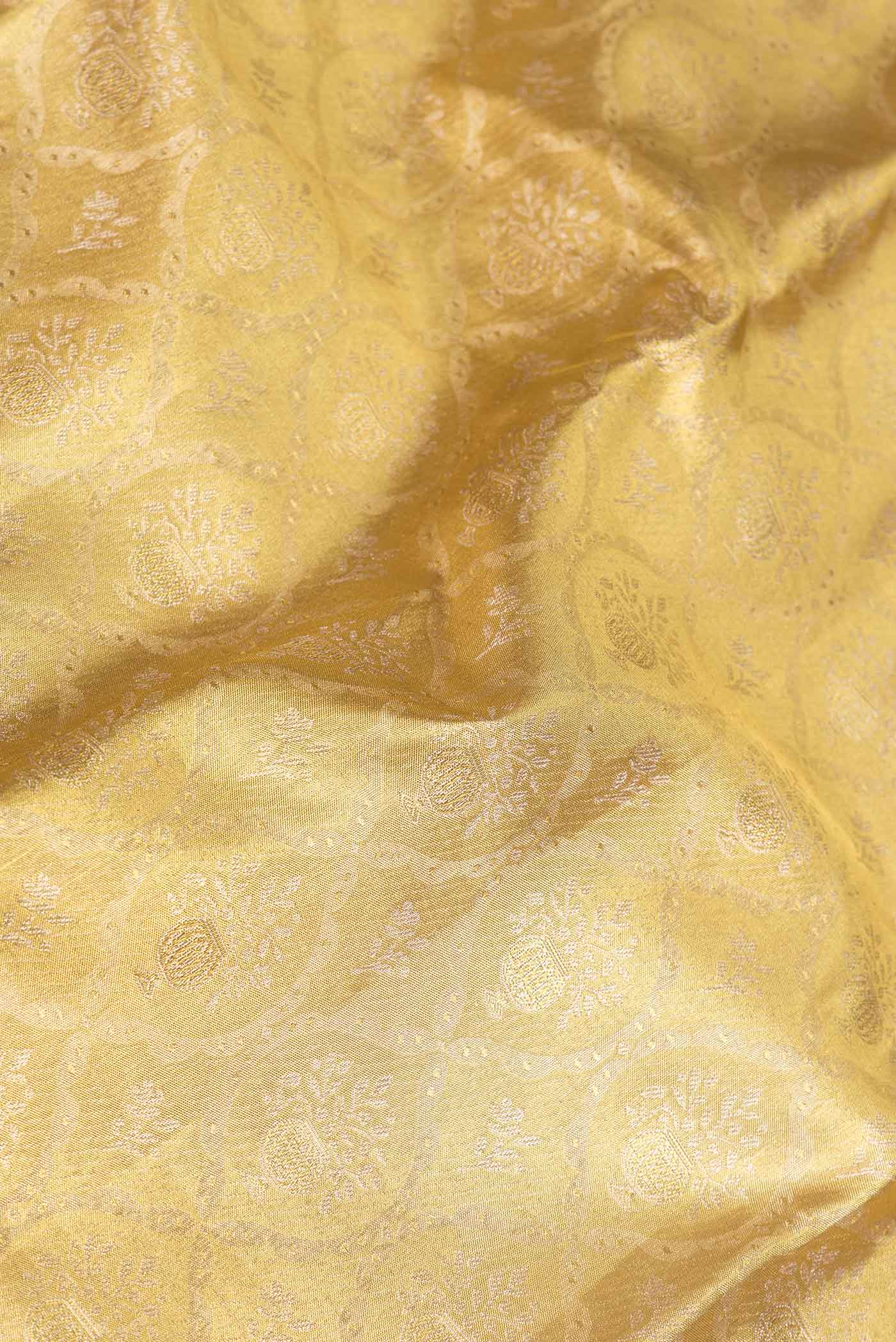 Close up of Gold Dual Tone Kanchipuram Saree with Zari Brocade on the body and Zari Border displaying folds