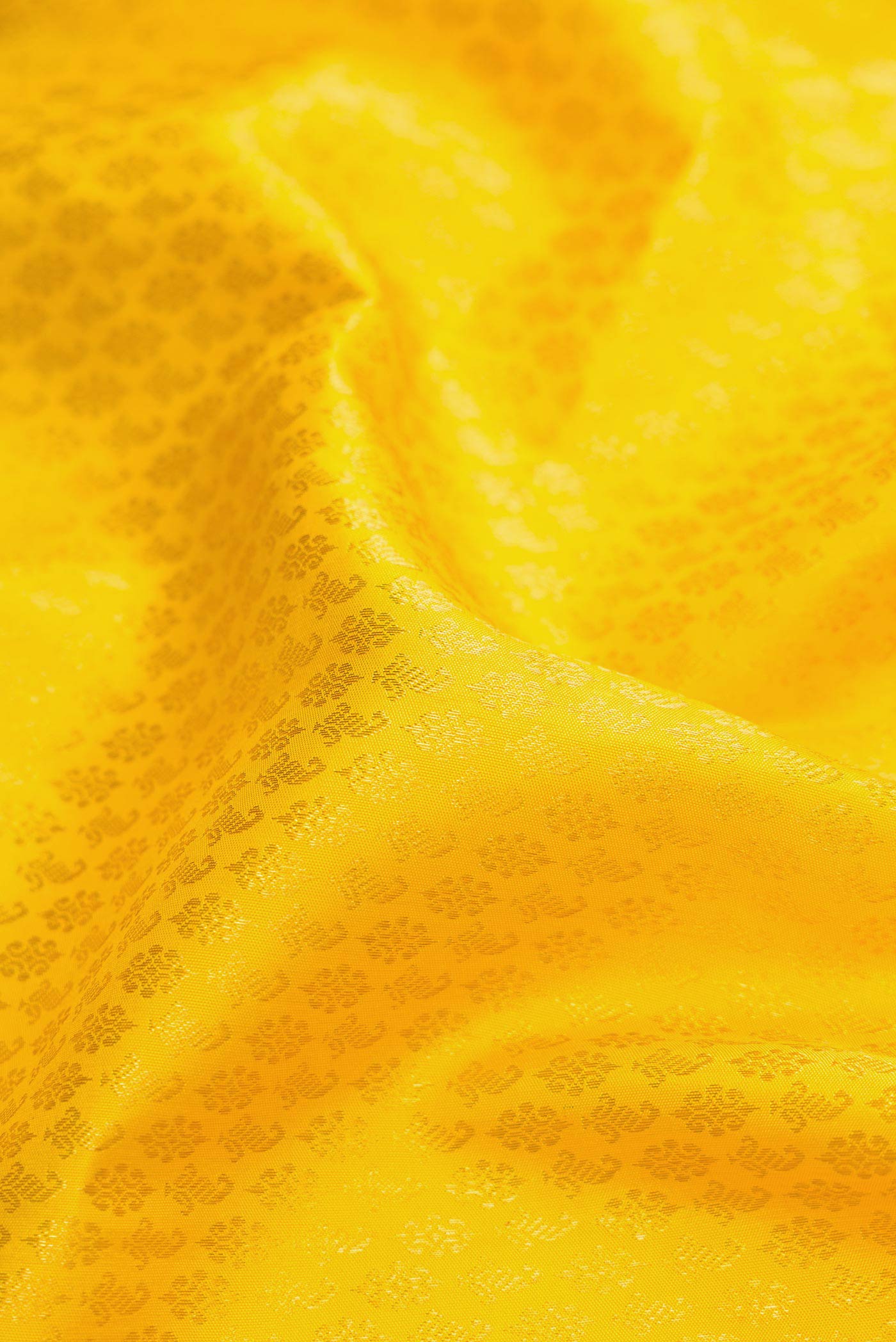 Close up of Yellow Dual Tone Kanjivaram Silk Saree with Zari Brocade on the body and Zari Border.  displaying folds