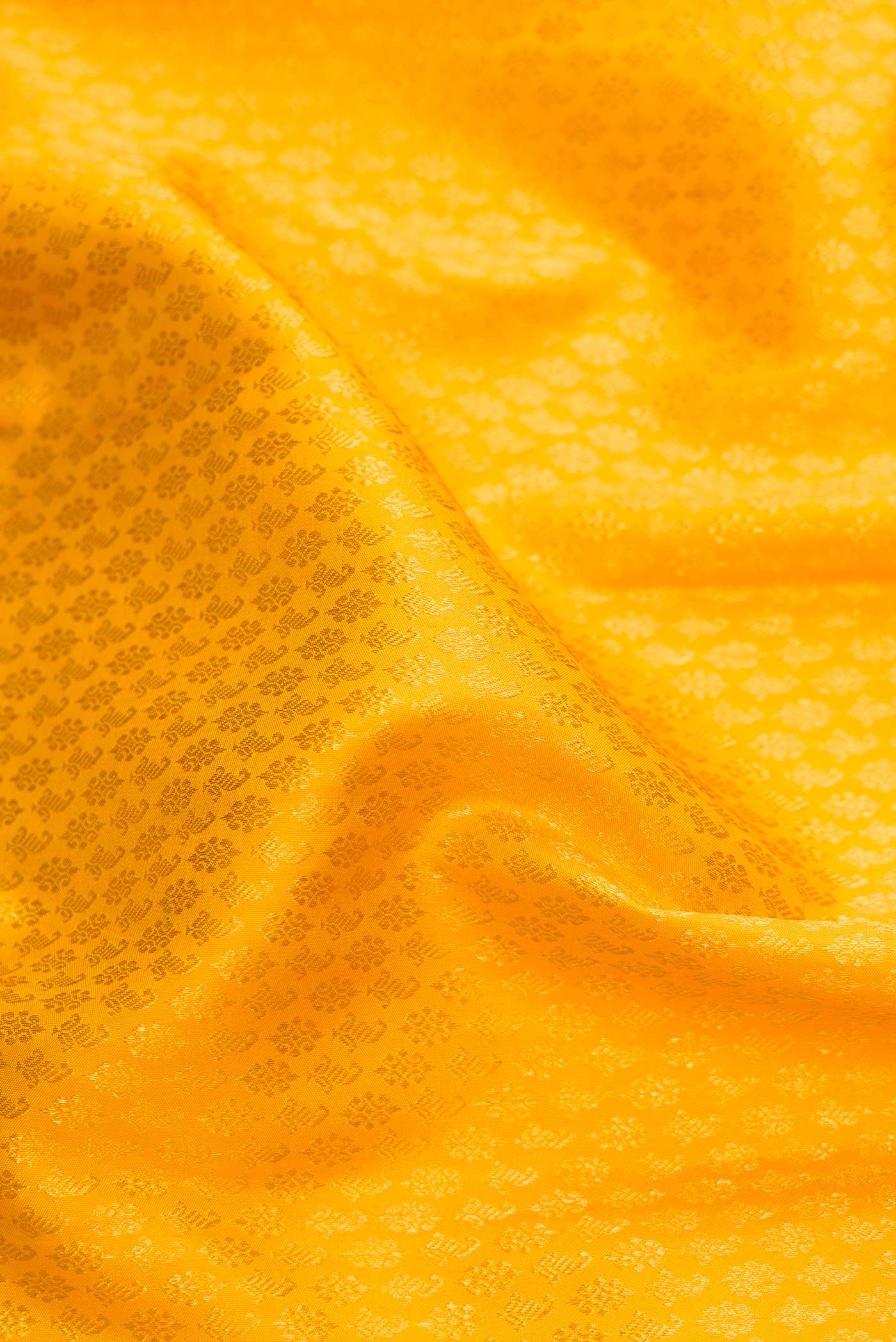 Close up of Yellow Dual Tone Kanjivaram Silk Saree with Zari Brocade on the body and Zari Border.  displaying folds