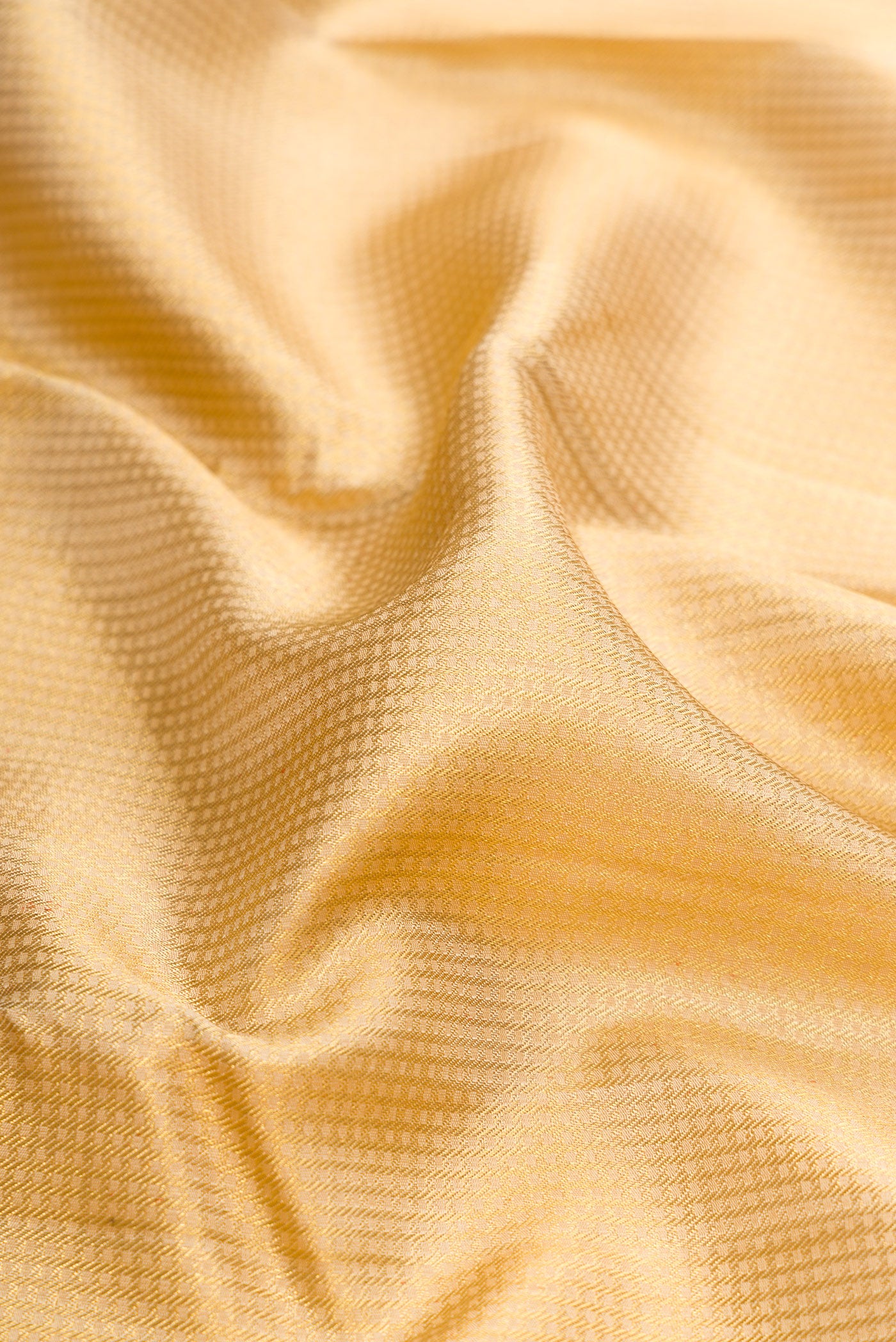 Close up of Pure Silk Pure Zari Gold Dual Tone Kanjivaram Saree with Zari Brocade on the body and Zari Border.  displaying folds