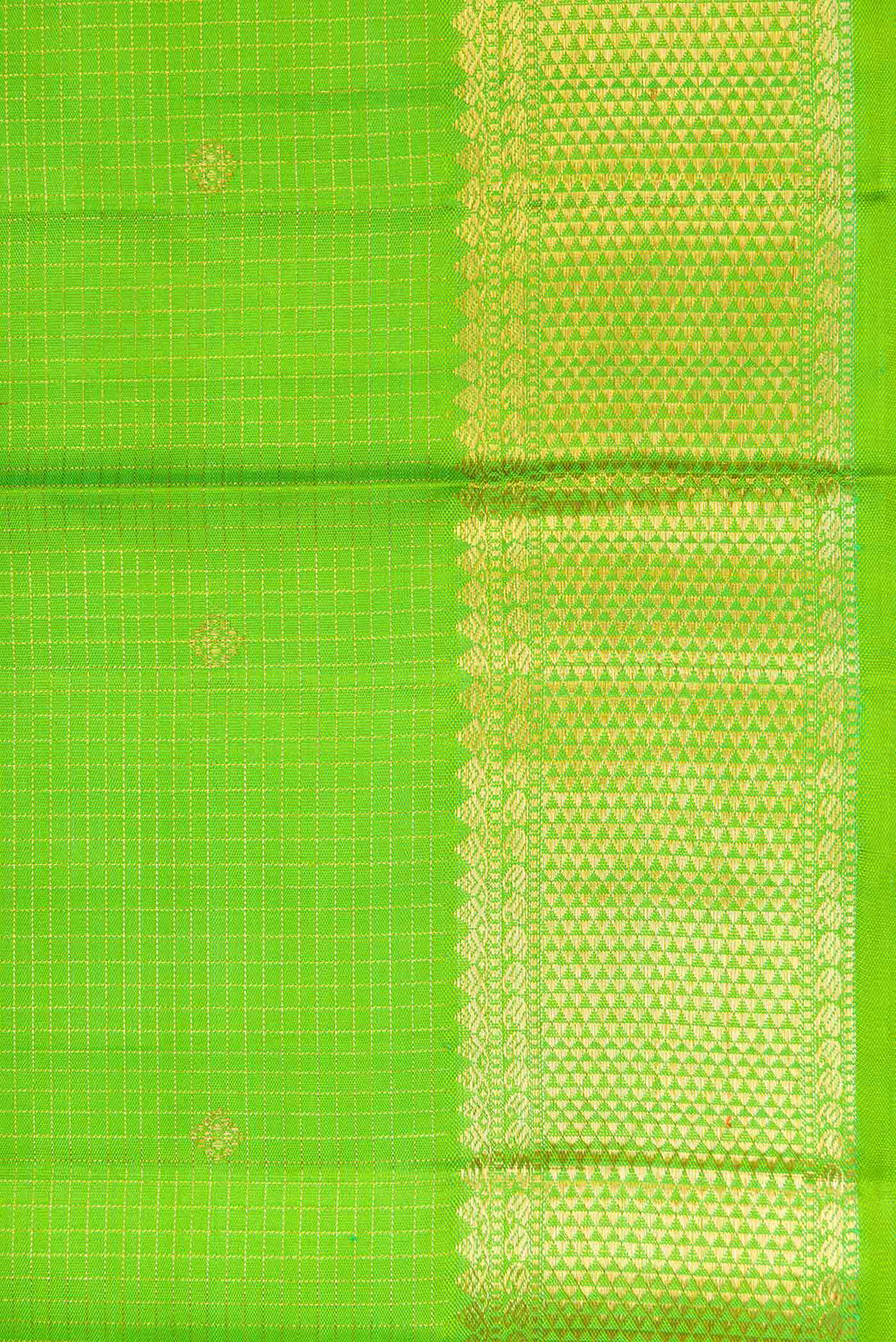 Border image of Pure Silk Pure Zari Parrot Green Dual Tone Kanchipuram Saree with Checked design on the body and Zari Border