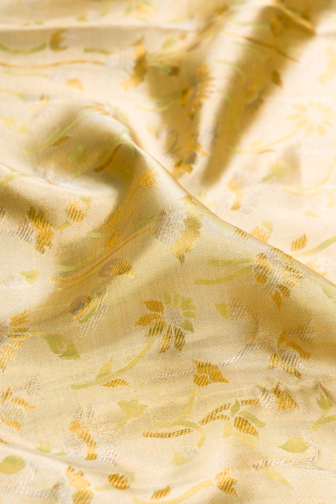 Close up of Pista Green Dual Tone Kanjivaram Tissue Silk Saree with Zari Brocade on the body and Zari Border.  displaying folds