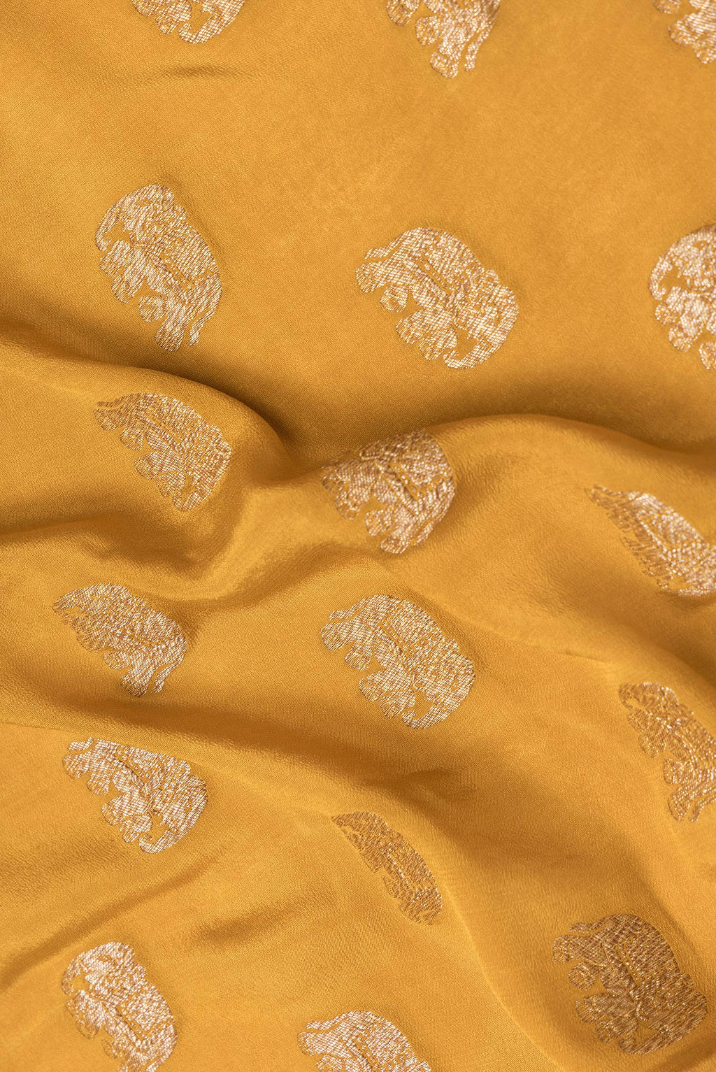 Close up of Mustard Dual Tone Banarasi Georgette Saree with Zari Butta on the body and Zari Border.  displaying folds