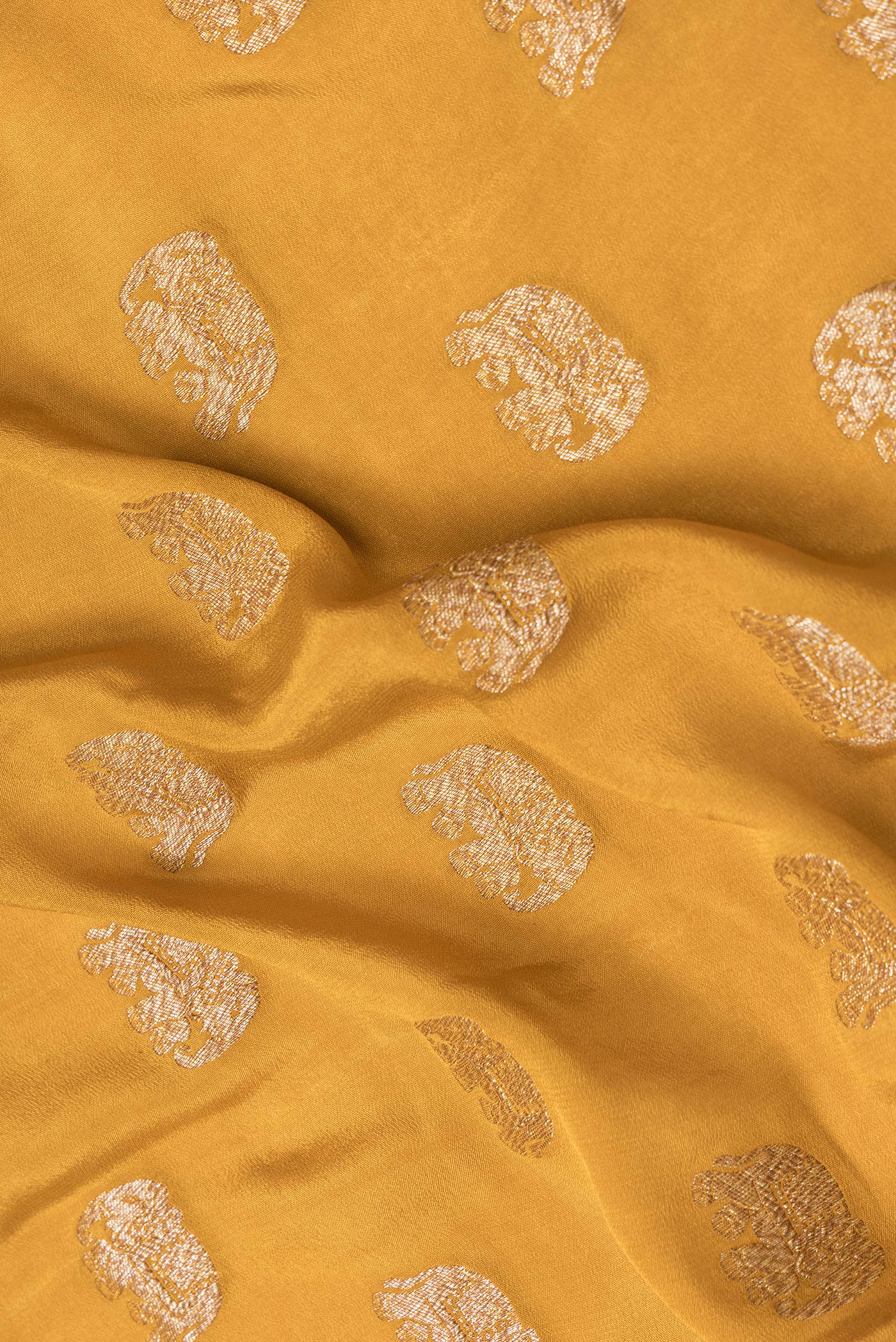 Close up of Mustard Dual Tone Banarasi Georgette Saree with Zari Butta on the body and Zari Border.  displaying folds