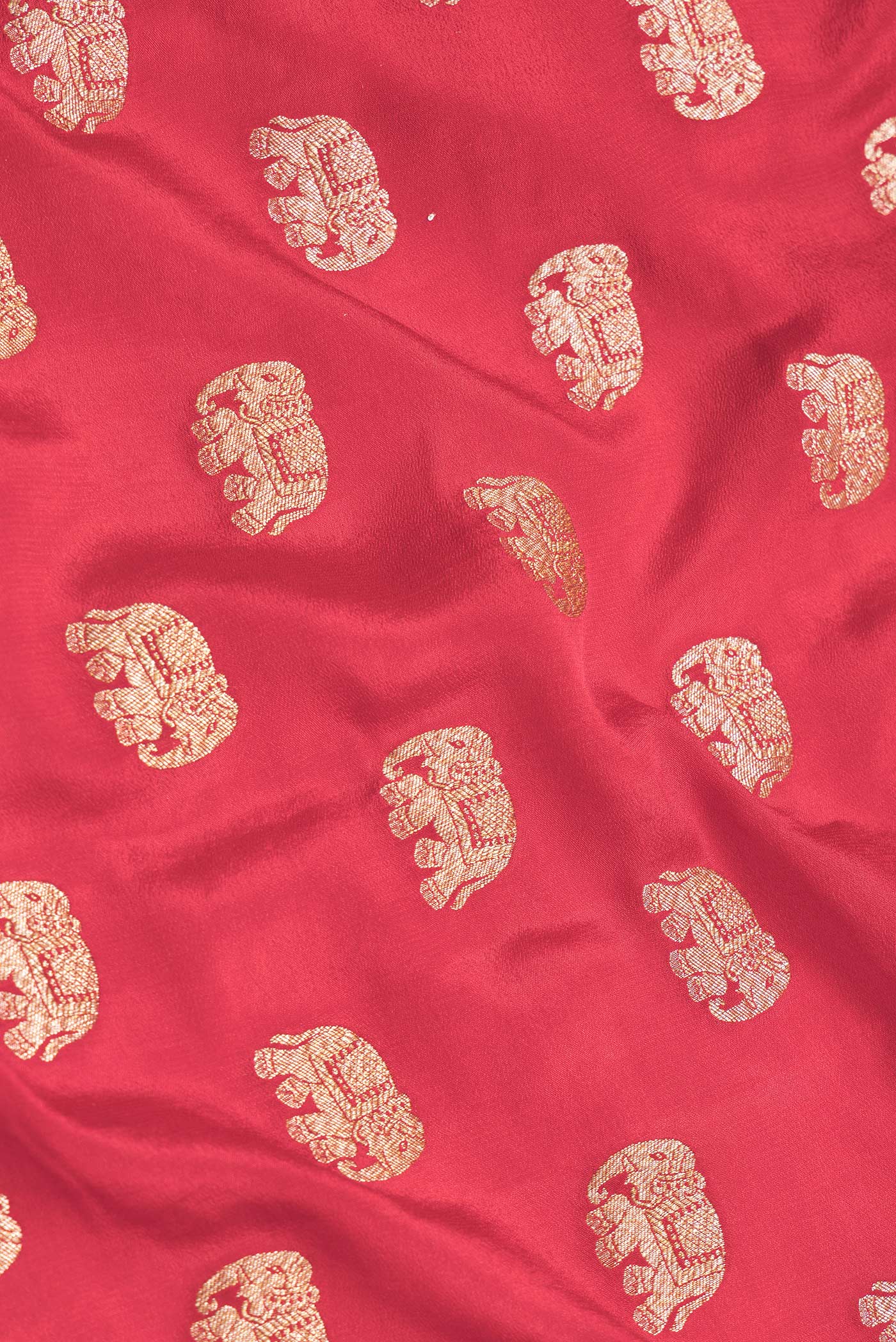 Close up of Red Dual Tone Banarasi Georgette Saree with Zari Butta on the body and Zari Border.  displaying folds