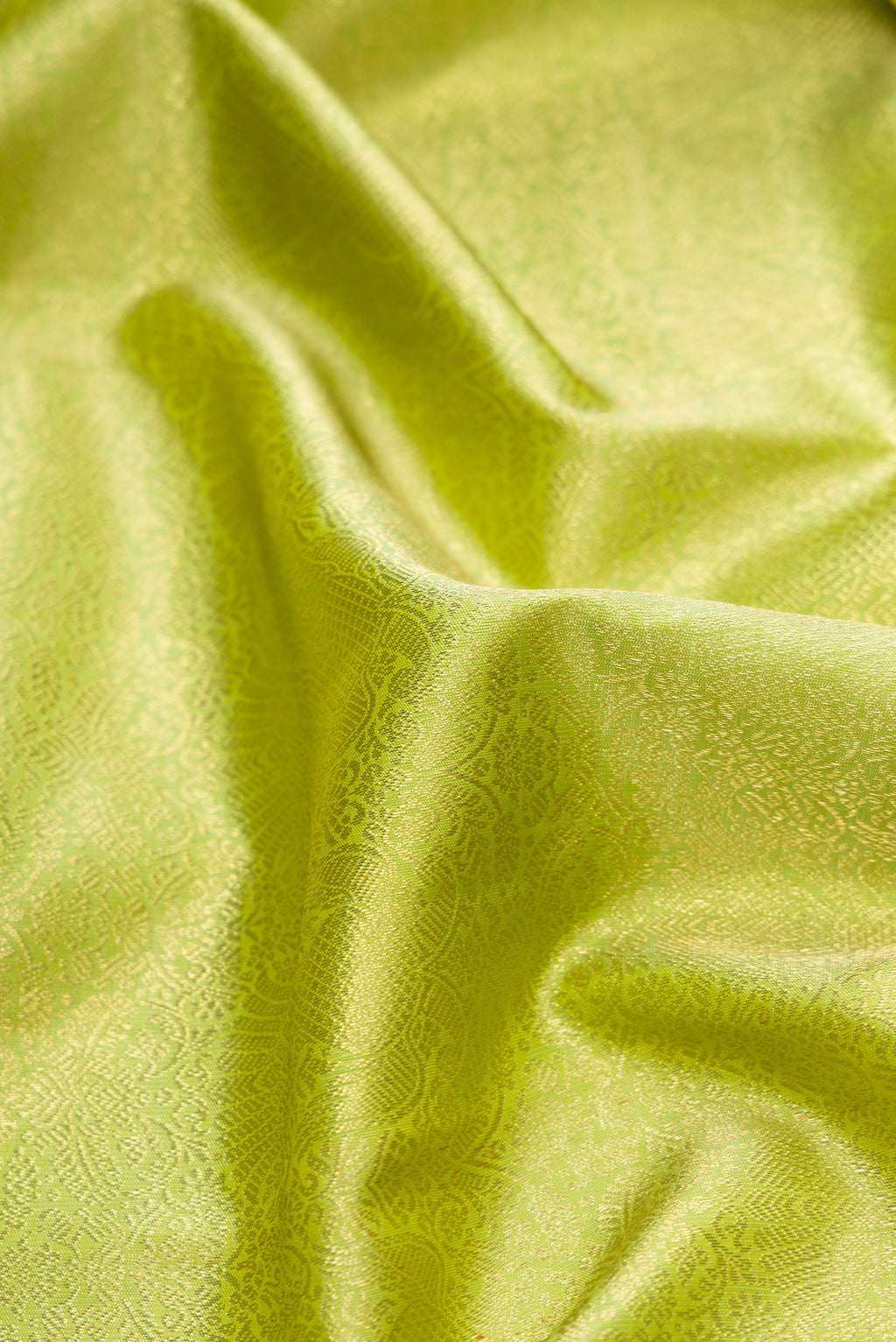 Close up of Pure Silk Pure Zari Light Green Dual Tone Kanjivaram Saree with Zari Brocade on the body and Zari Border.  displaying folds