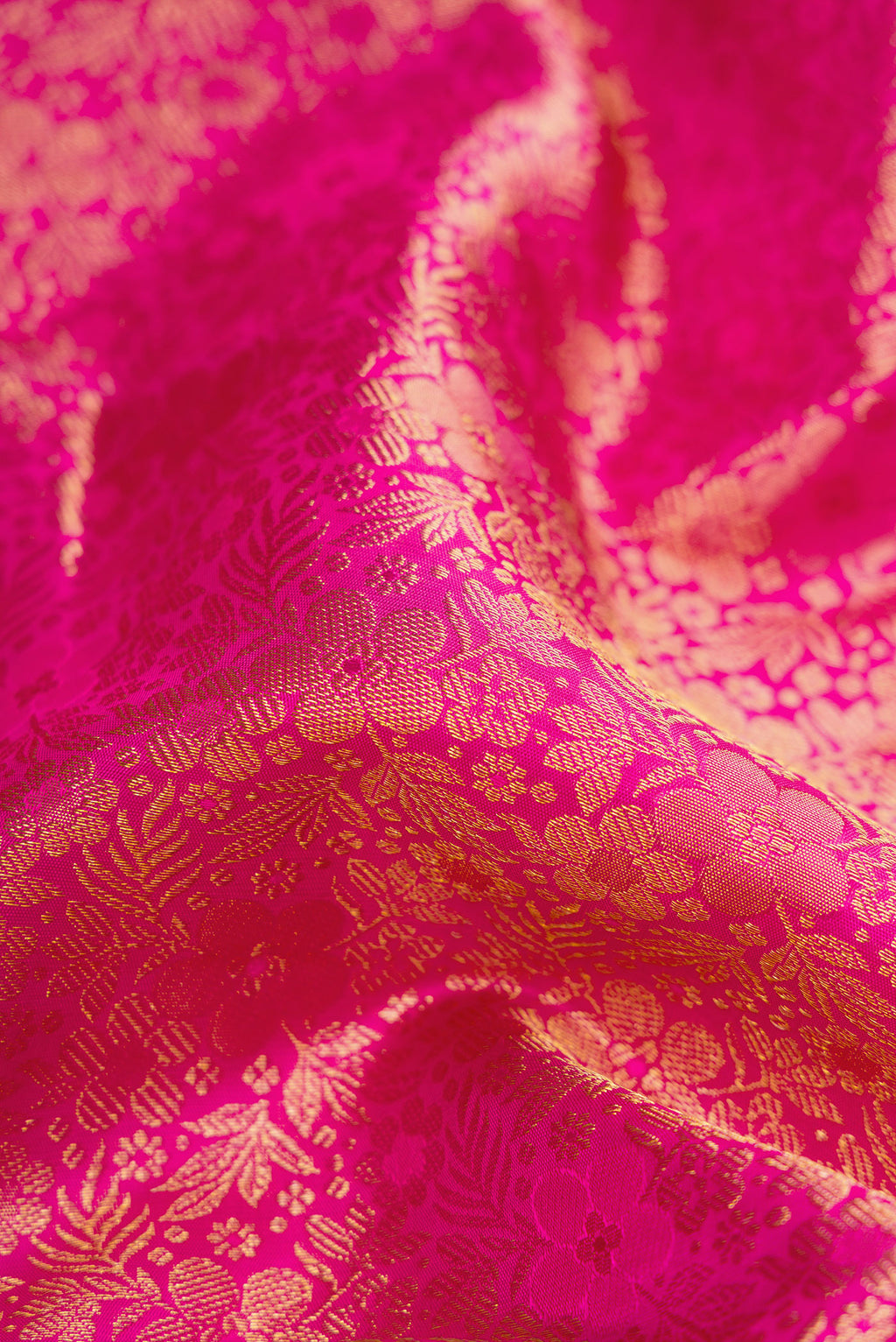 Close up of Pink Kanchipuram Silk Saree with Zari Brocade on the body and Zari Border.  displaying folds