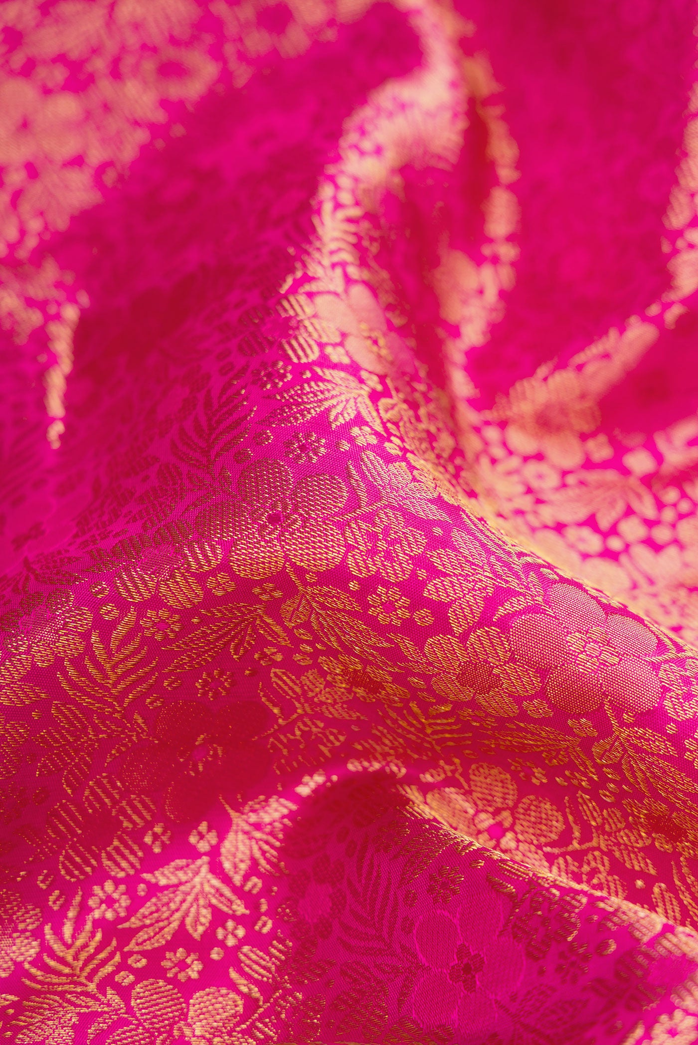 Close up of Pink Kanchipuram Silk Saree with Zari Brocade on the body and Zari Border.  displaying folds