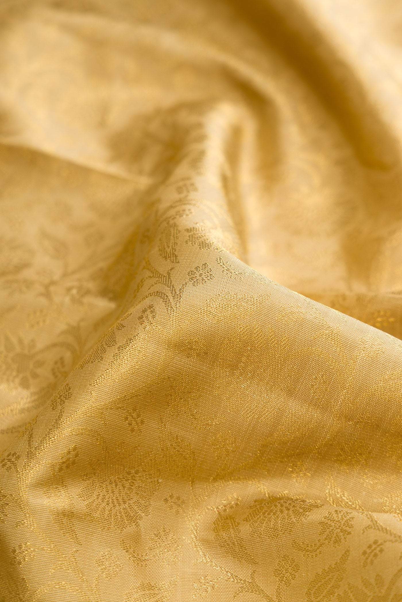 Close up of Pure Silk Pure Zari Gold Dual Tone Kanjivaram Saree with Zari Brocade on the body and Zari Border.  displaying folds