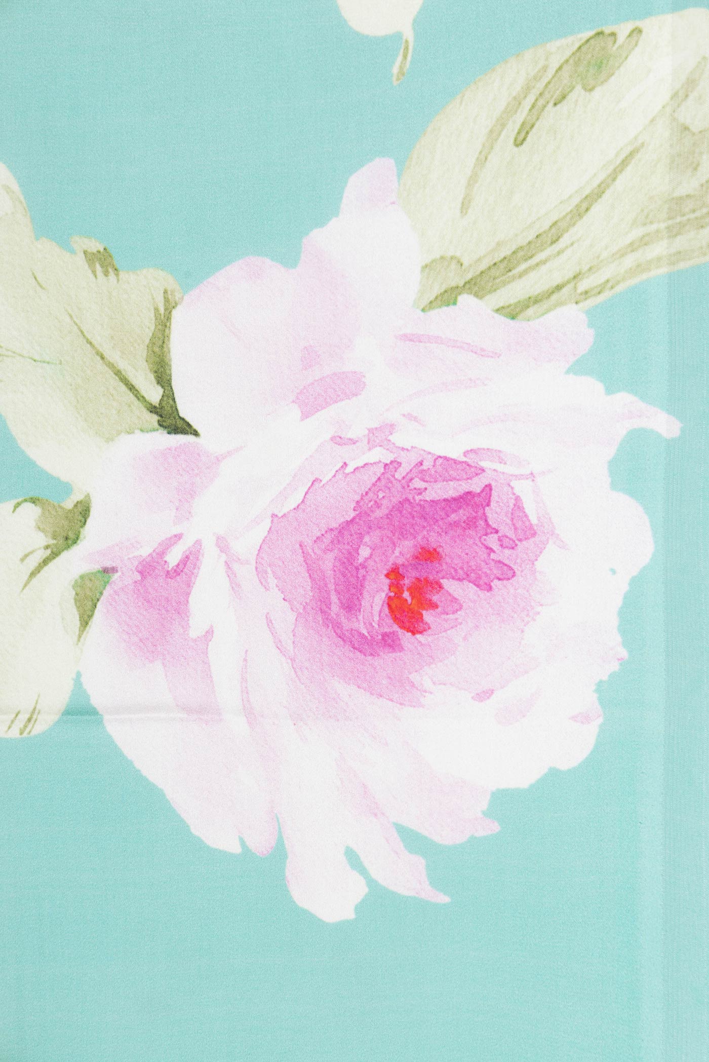 Border image of Light Blue Satin Silk Saree with Floral Print on the body and Without Border