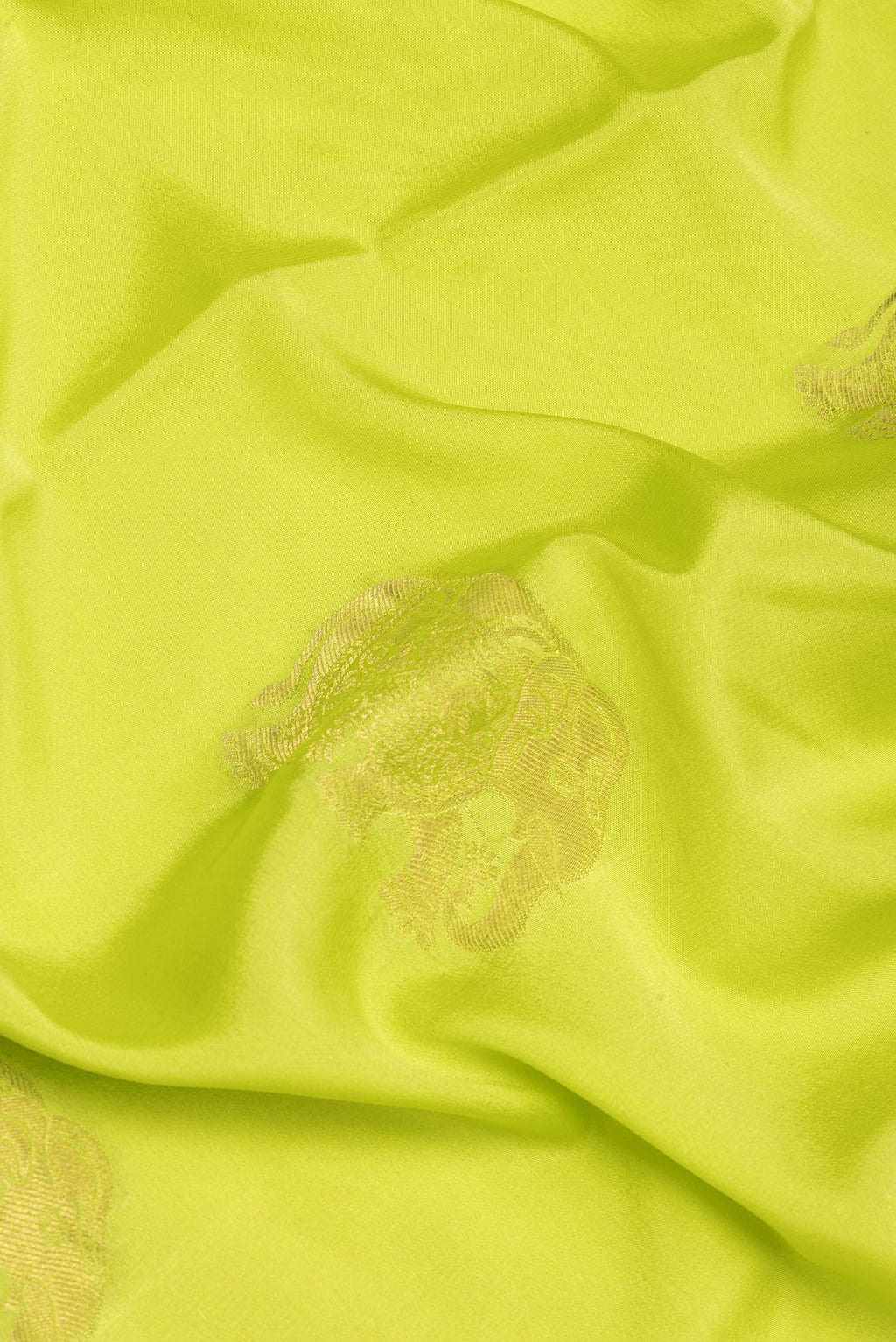 Close up of Parrot Green Mysore Silk Saree with Zari Butta on the body and Zari Border.  displaying folds