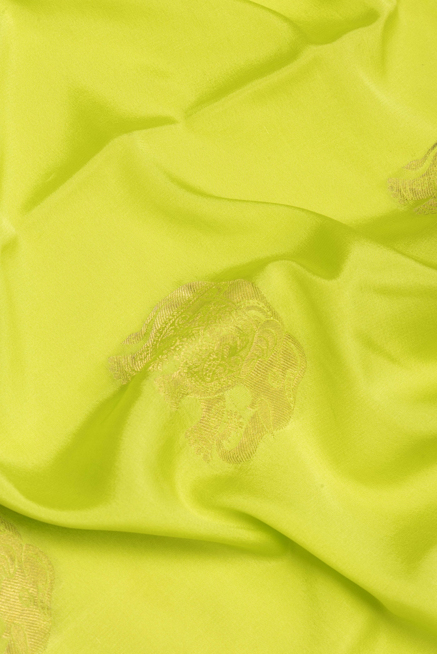Close up of Parrot Green Mysore Silk Saree with Zari Butta on the body and Zari Border.  displaying folds