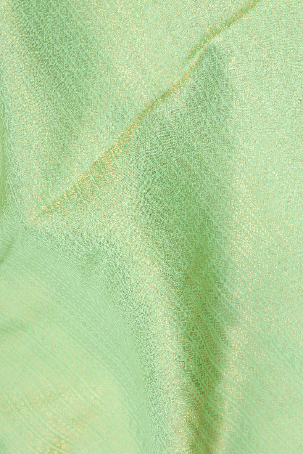 Close up of Pista Green Crepe Saree with Zari Brocade on the body and Zari Border.  displaying folds