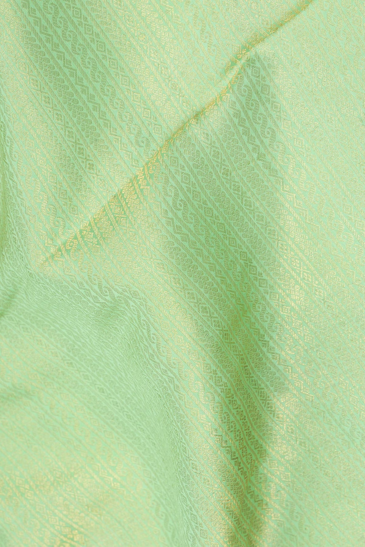 Close up of Pista Green Crepe Saree with Zari Brocade on the body and Zari Border.  displaying folds
