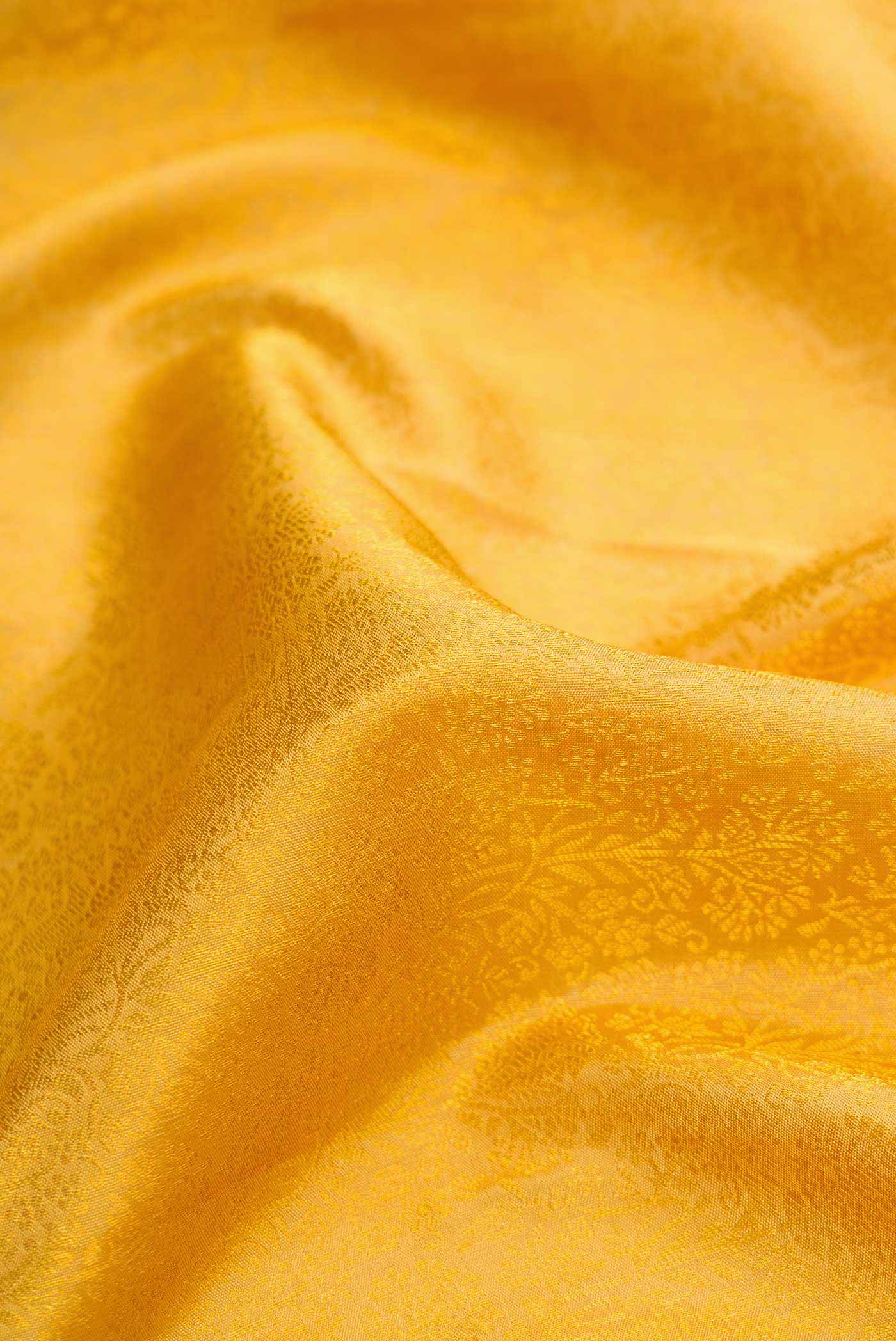 Close up of Gold Dual Tone Kanjivaram Silk Saree with Zari Brocade on the body and Zari Border.  displaying folds