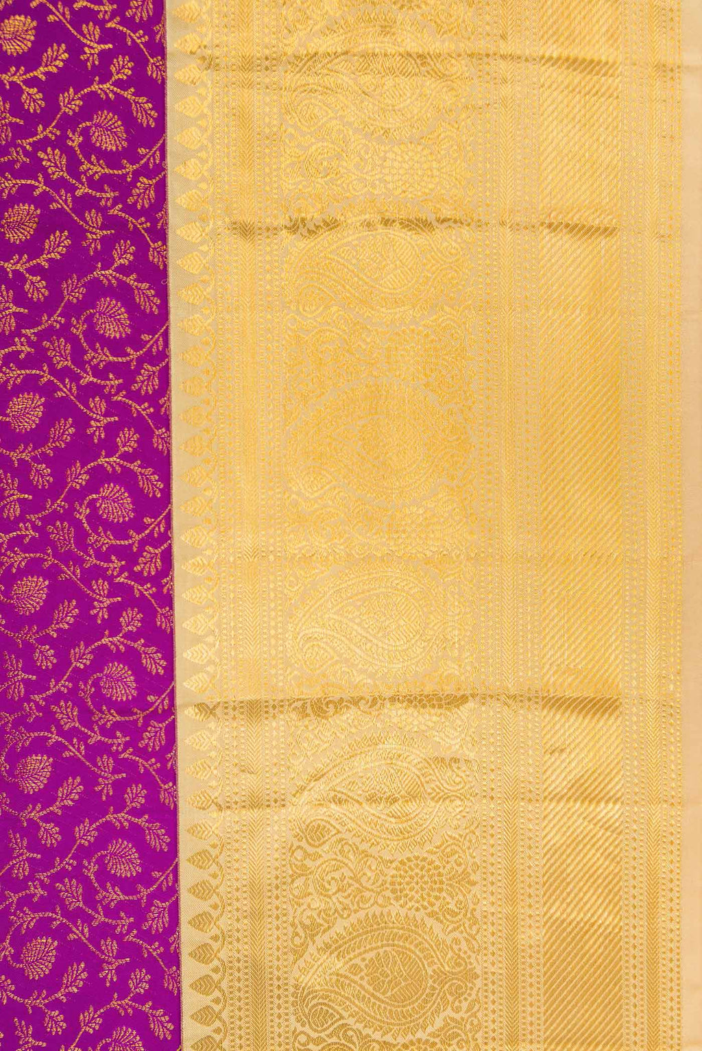 Border image of Magenta Dual Tone Kanchipuram Silk Saree with Zari Brocade on the body and Zari Border. 