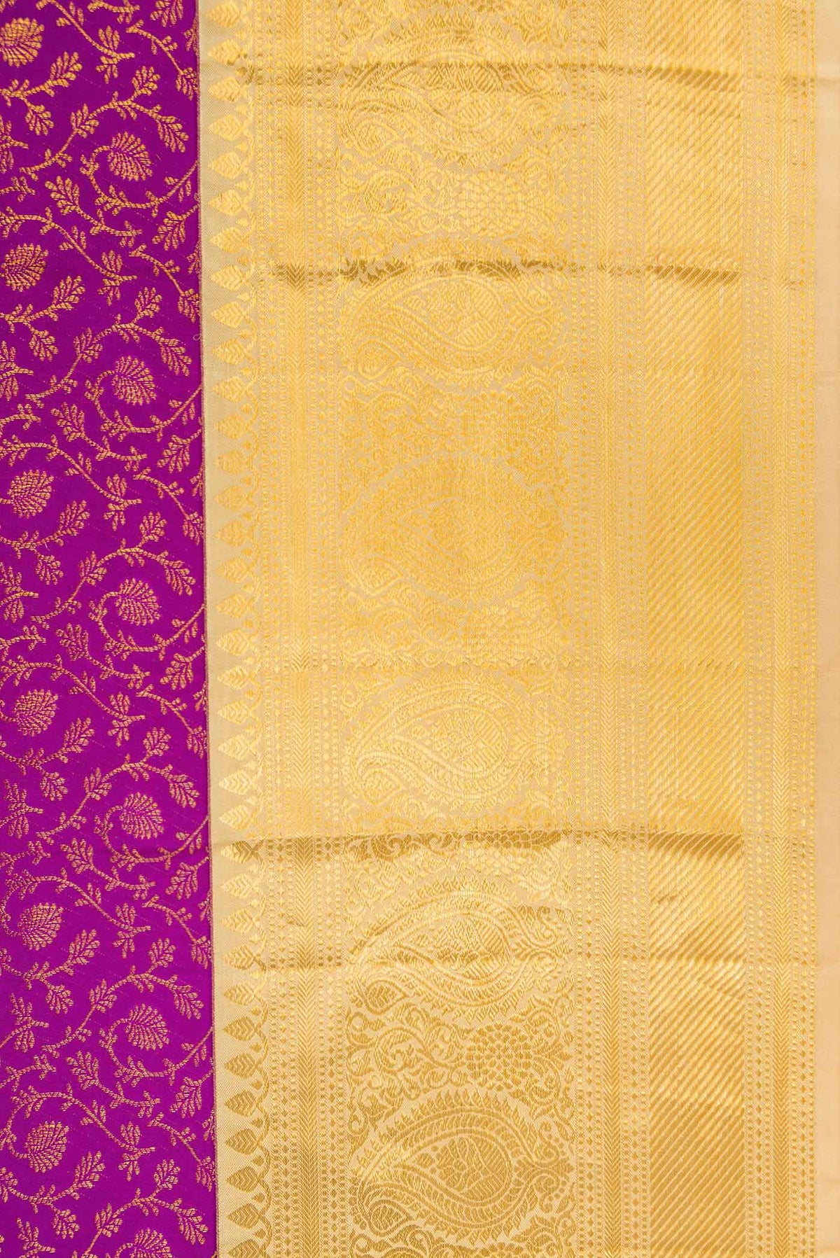 Border image of Magenta Dual Tone Kanchipuram Silk Saree with Zari Brocade on the body and Zari Border. 