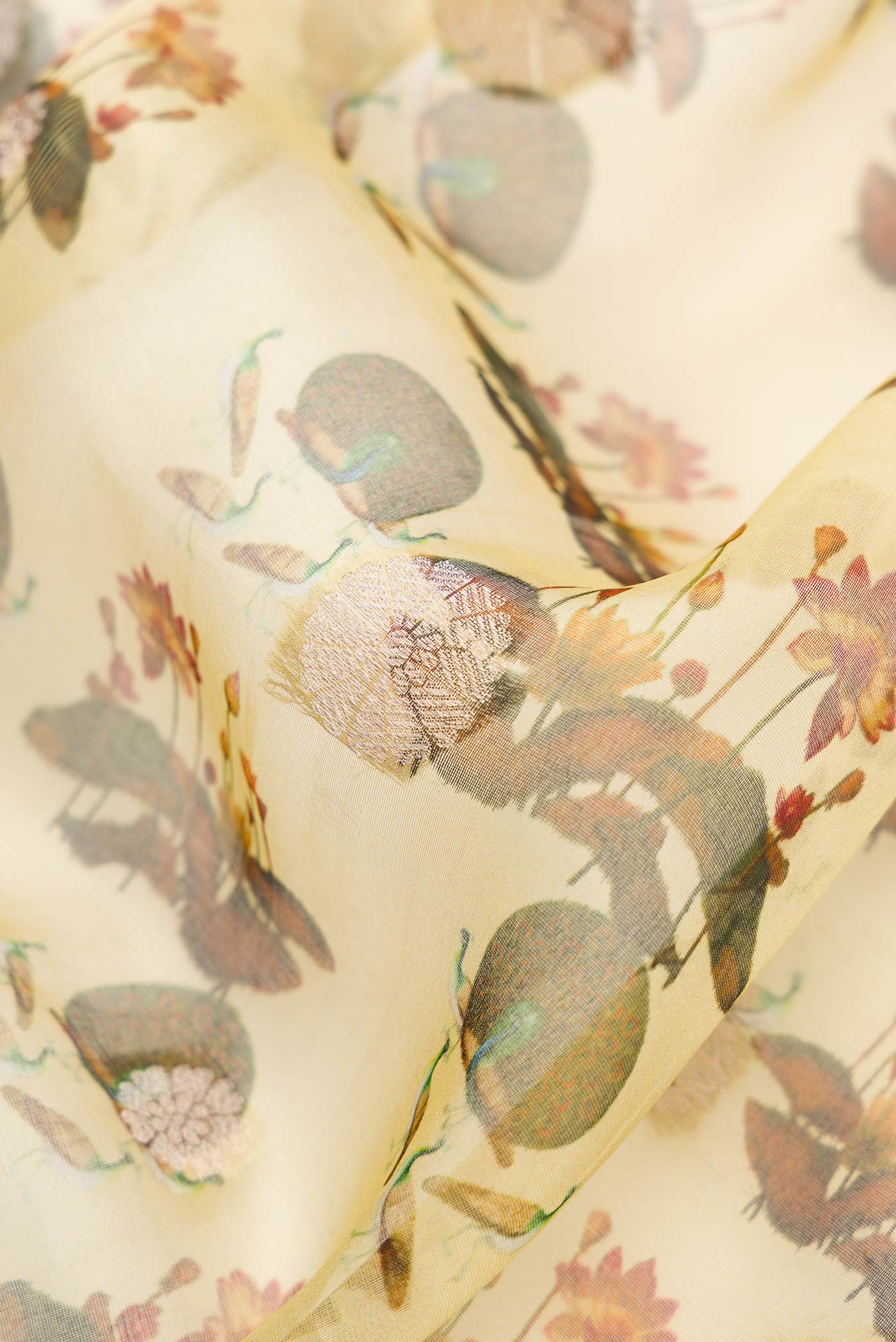 Close up of Green Dual Tone Organza Silk Saree with Printed design on the body and Zari Border.  displaying folds