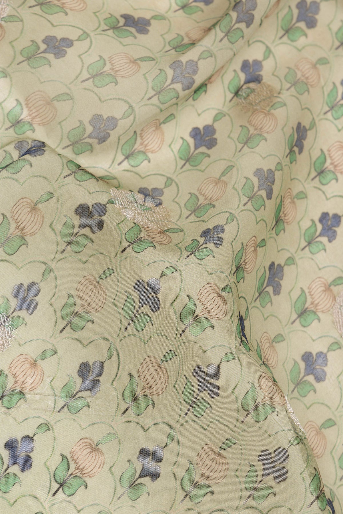 Close up of Pista Green Dual Tone Organza Silk Saree with Printed design on the body and Zari Border.  displaying folds