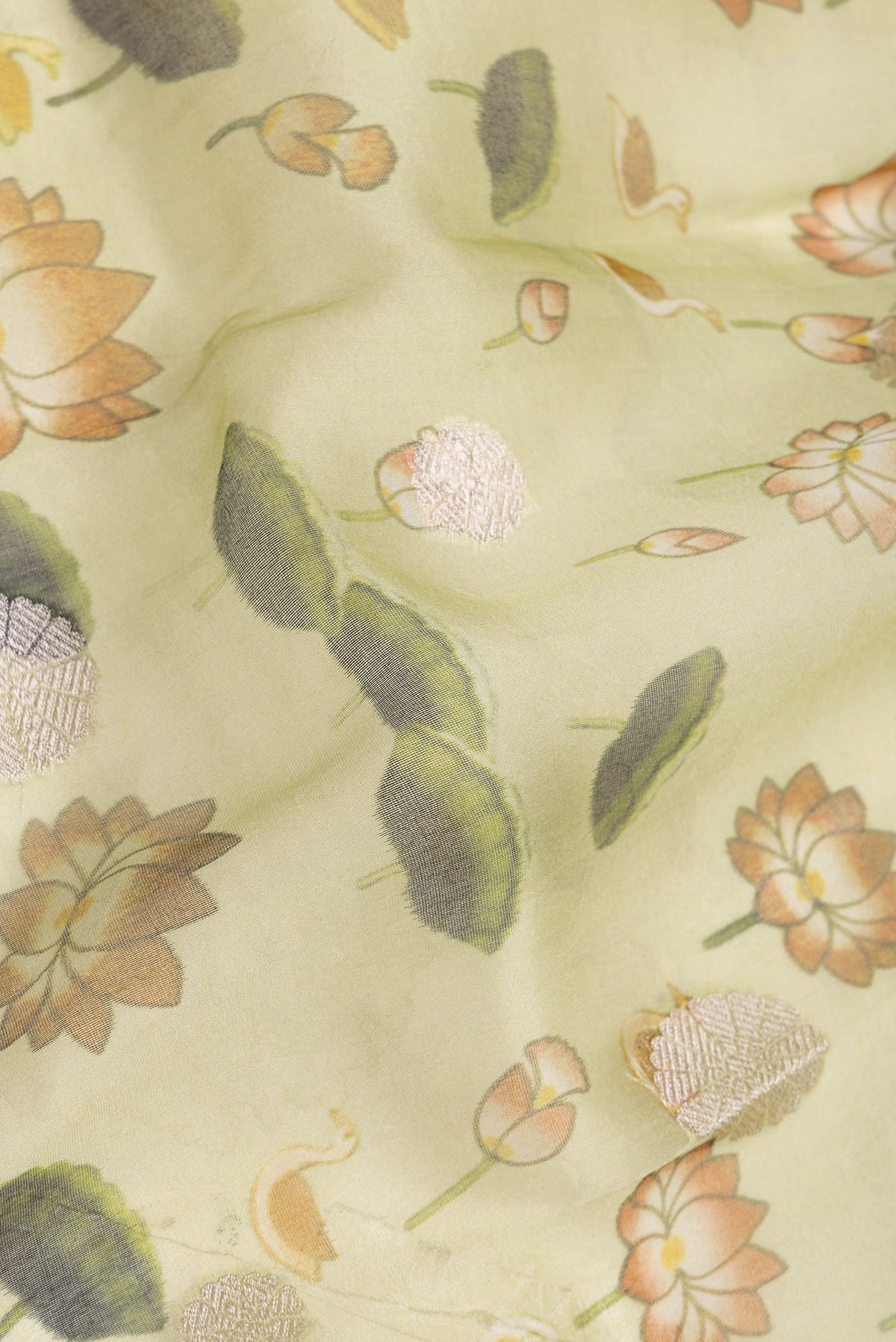 Close up of Pista Green Dual Tone Organza Silk Saree with Printed design on the body and Zari Border.  displaying folds