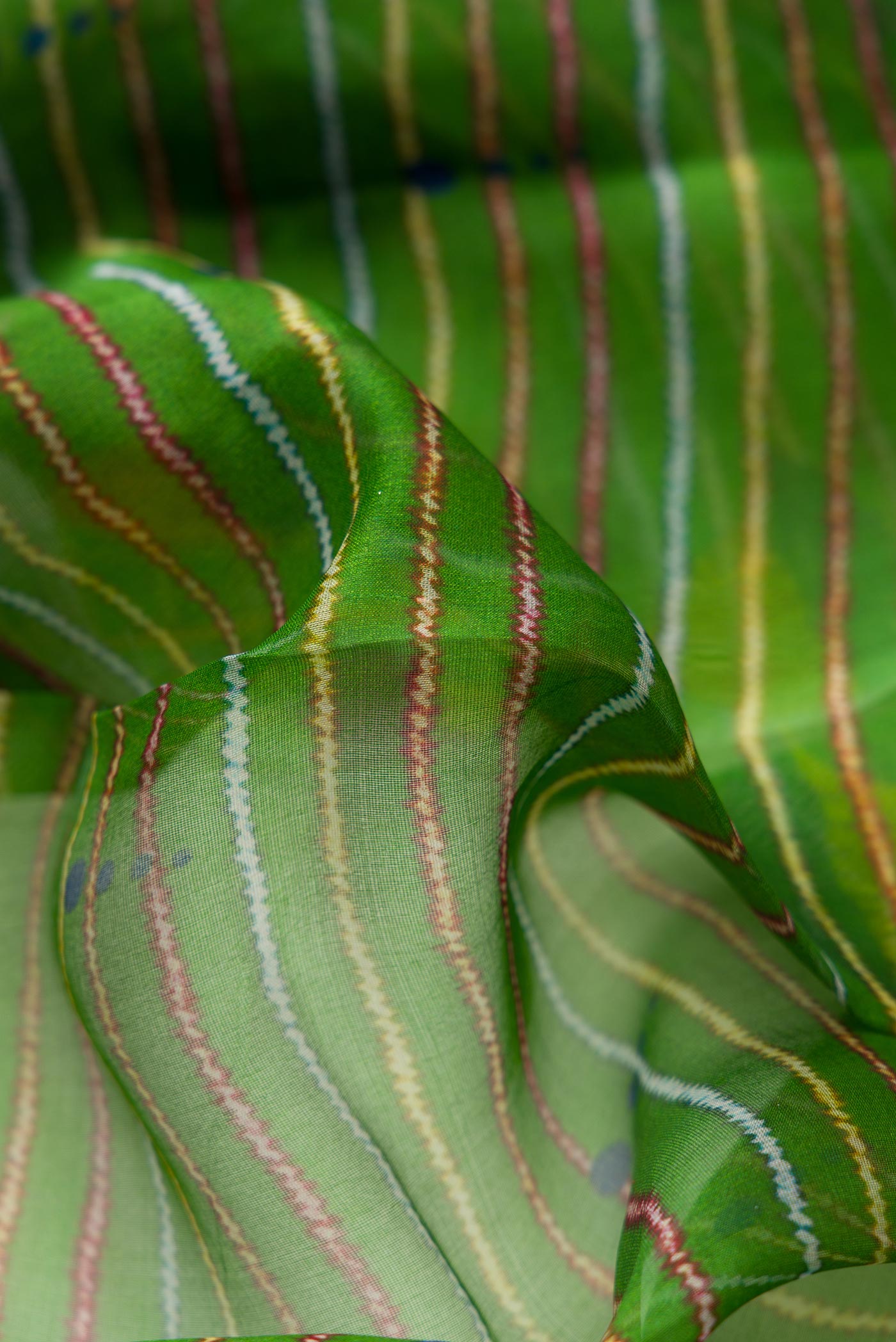 Close up of Green Dual Tone Organza Silk Saree with Printed design on the body and Zari Border.  displaying folds