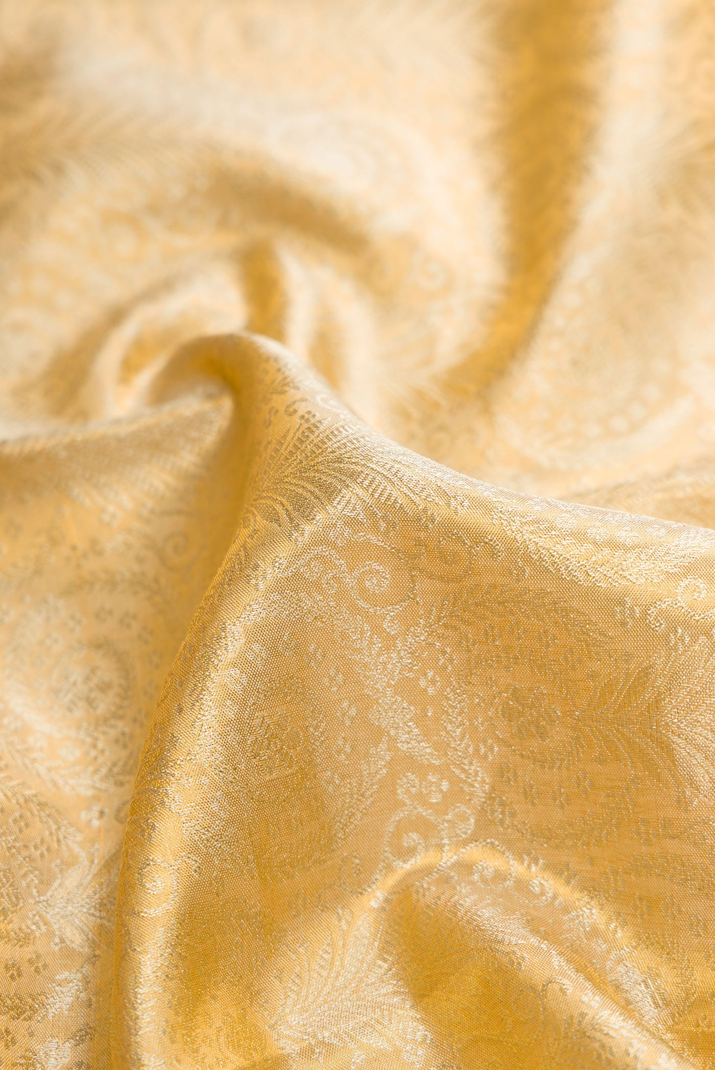 Close up of Gold Dual Tone Kanjivaram Tissue Silk Saree with Zari Brocade on the body and Zari Border.  displaying folds
