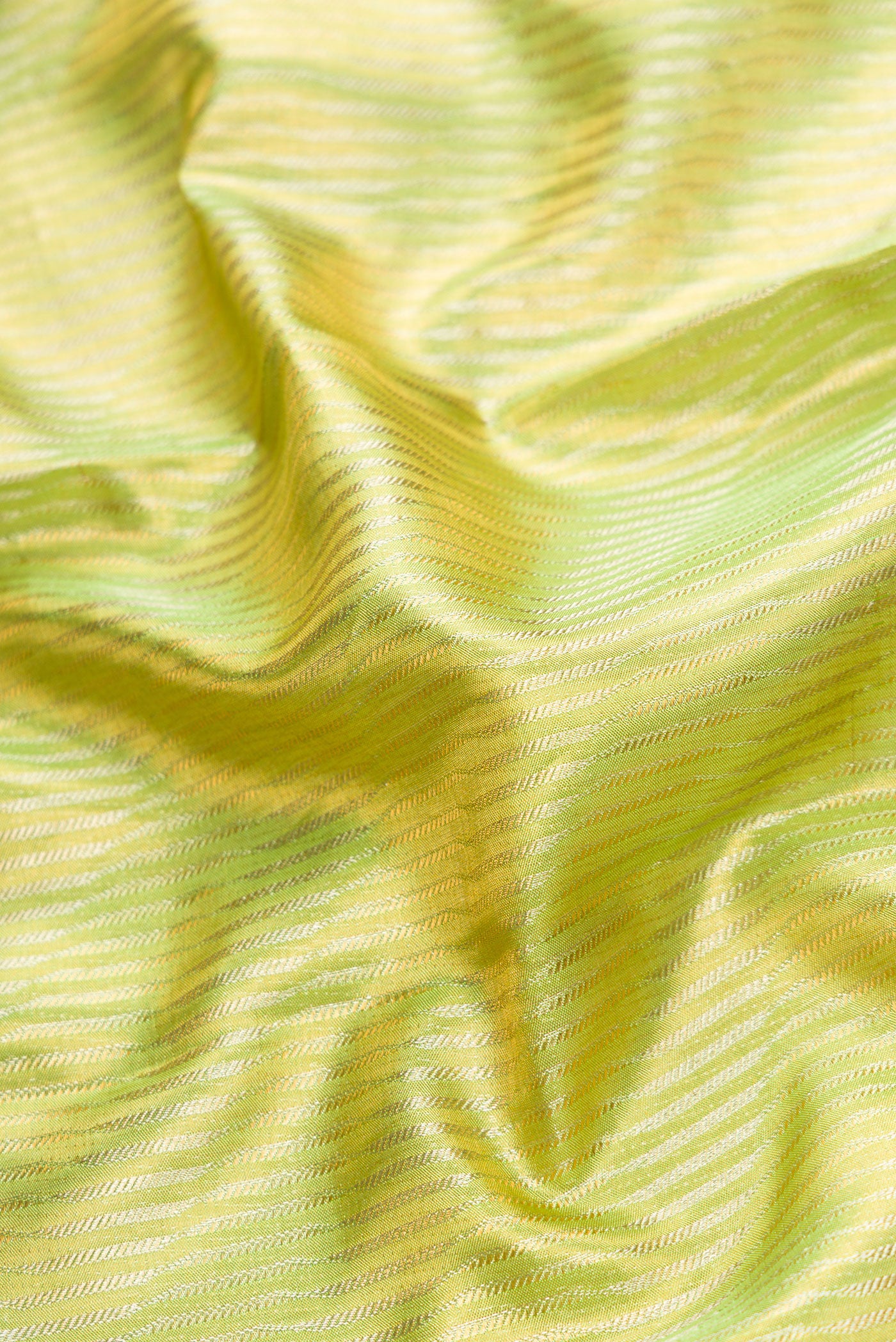 Close up of Parrot Green Dual Tone Kanjivaram Tissue Silk Saree with Zari Brocade on the body and Zari Border.  displaying folds