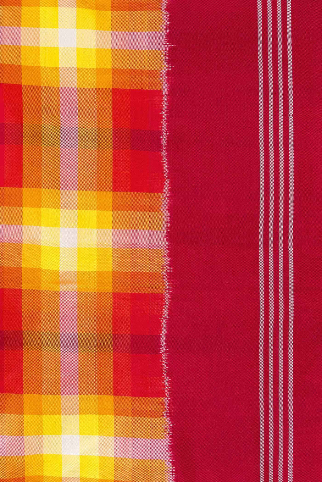 Border image of Mustard Dual Tone Double Ikat Saree with Checked design on the body and Zari Border. 