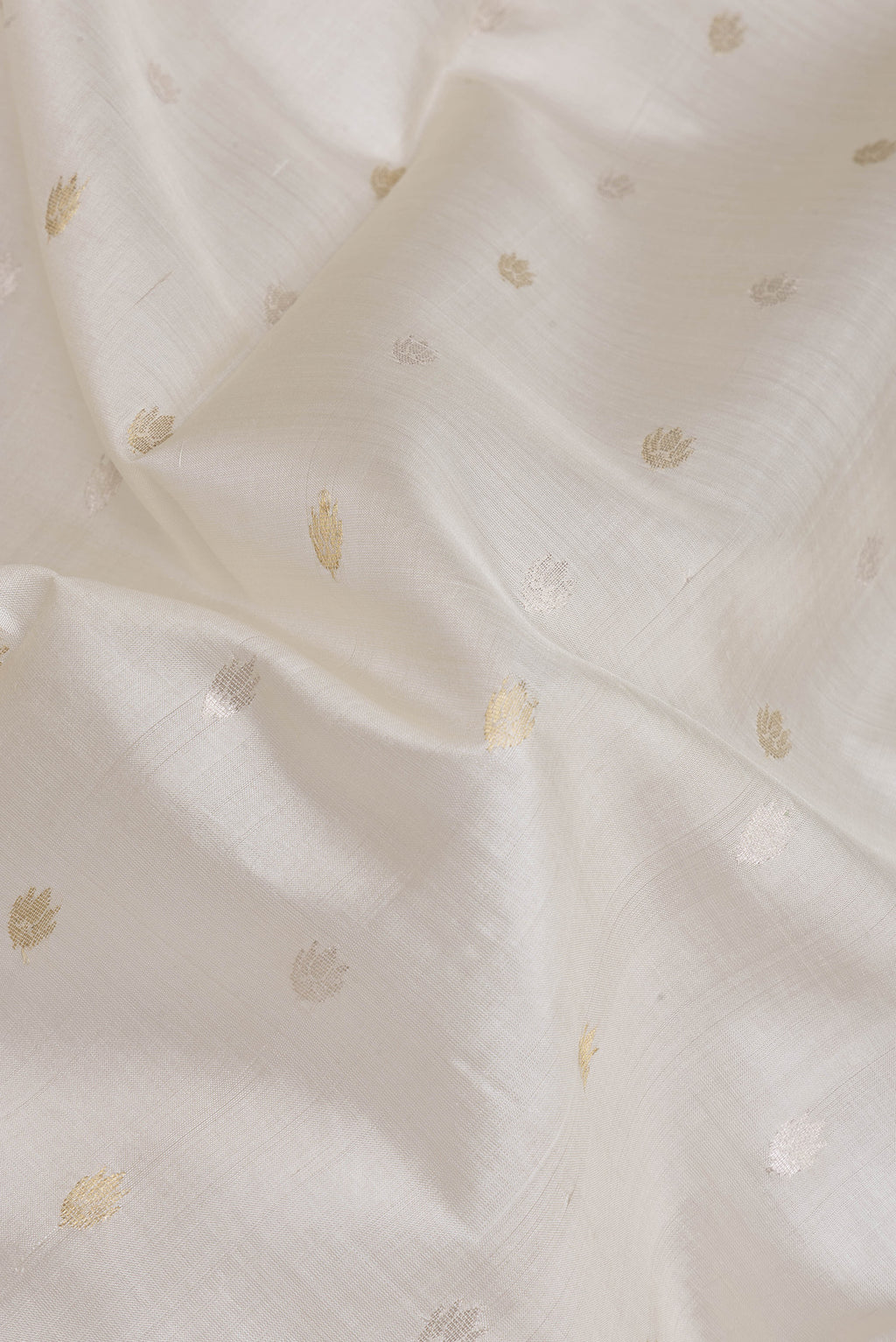 Close up of Off White Tussar Silk Saree with Zari Butta on the body and Zari Border.  displaying folds