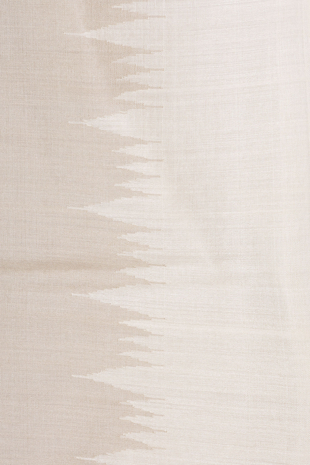 Border image of Beige Dual Tone Tussar Silk Saree with Plain Body and Printed Border. 