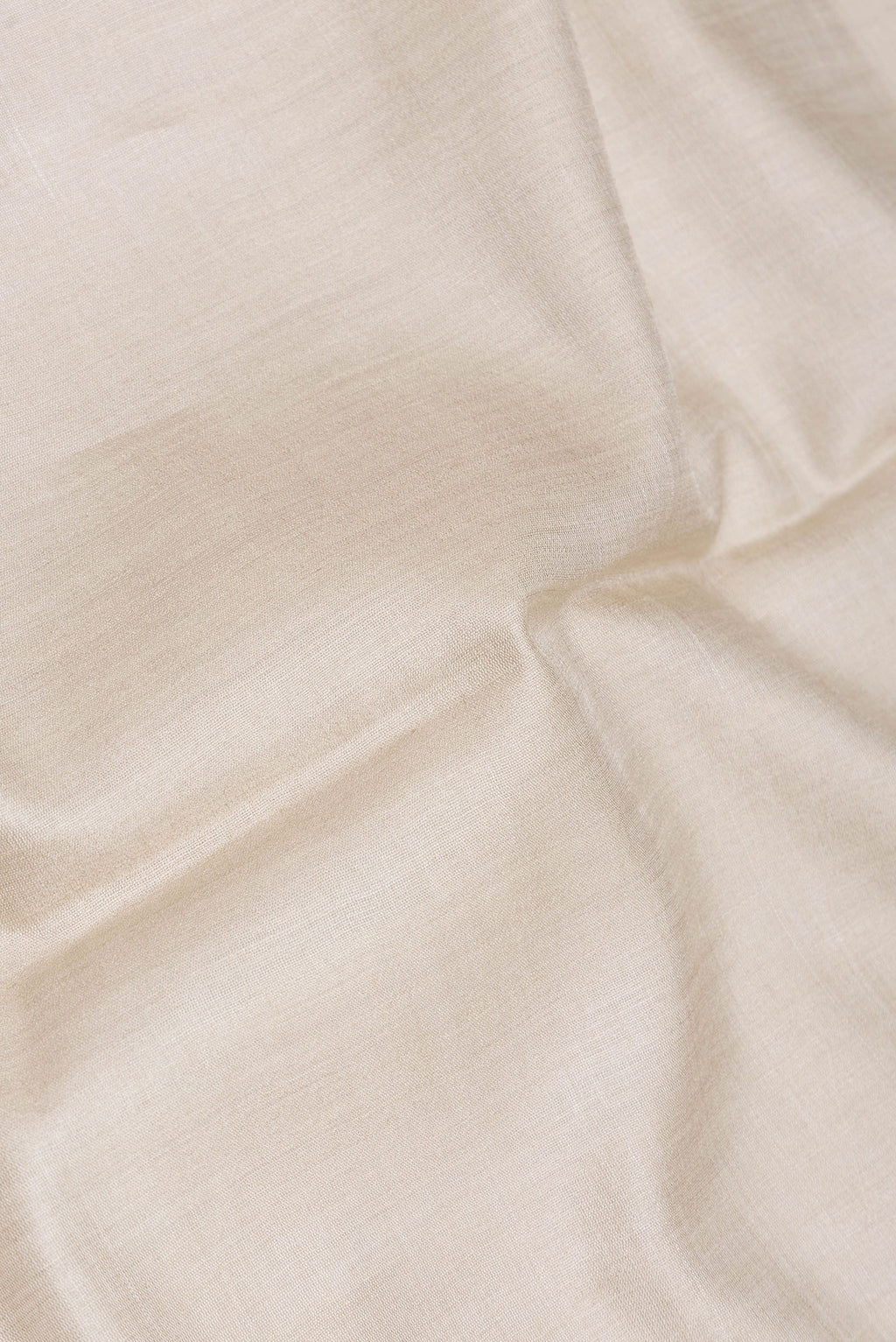 Close up of Beige Dual Tone Tussar Silk Saree with Plain Body and Printed Border.  displaying folds
